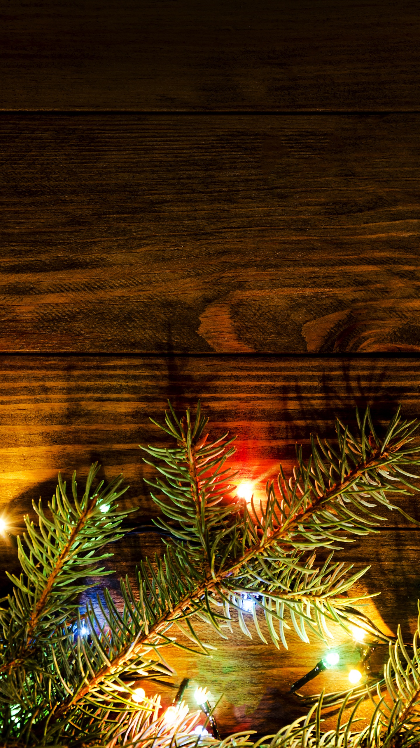 圣诞节那天, 圣诞彩灯, 光, 圣诞树, 圣诞装饰 壁纸 1440x2560 允许