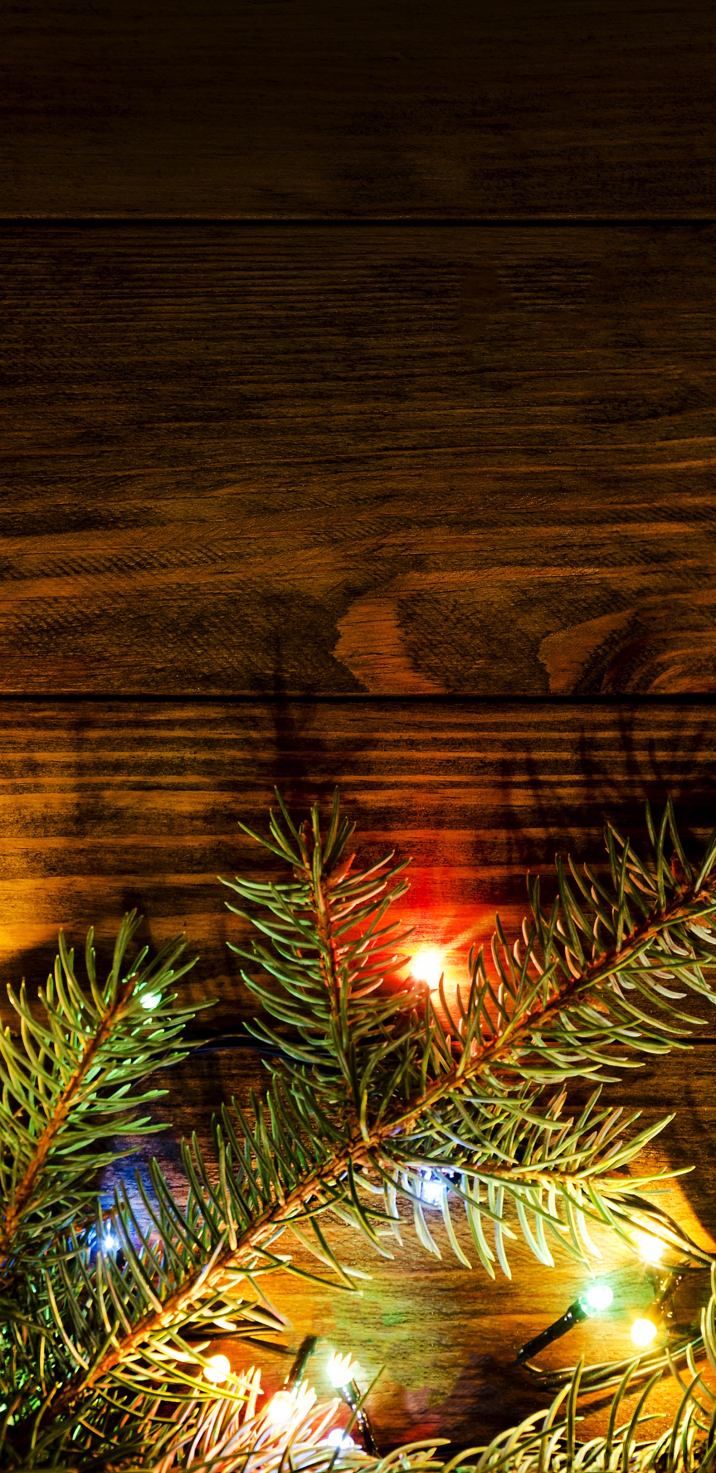 圣诞节那天, 圣诞彩灯, 光, 圣诞树, 圣诞装饰 壁纸 1440x2960 允许