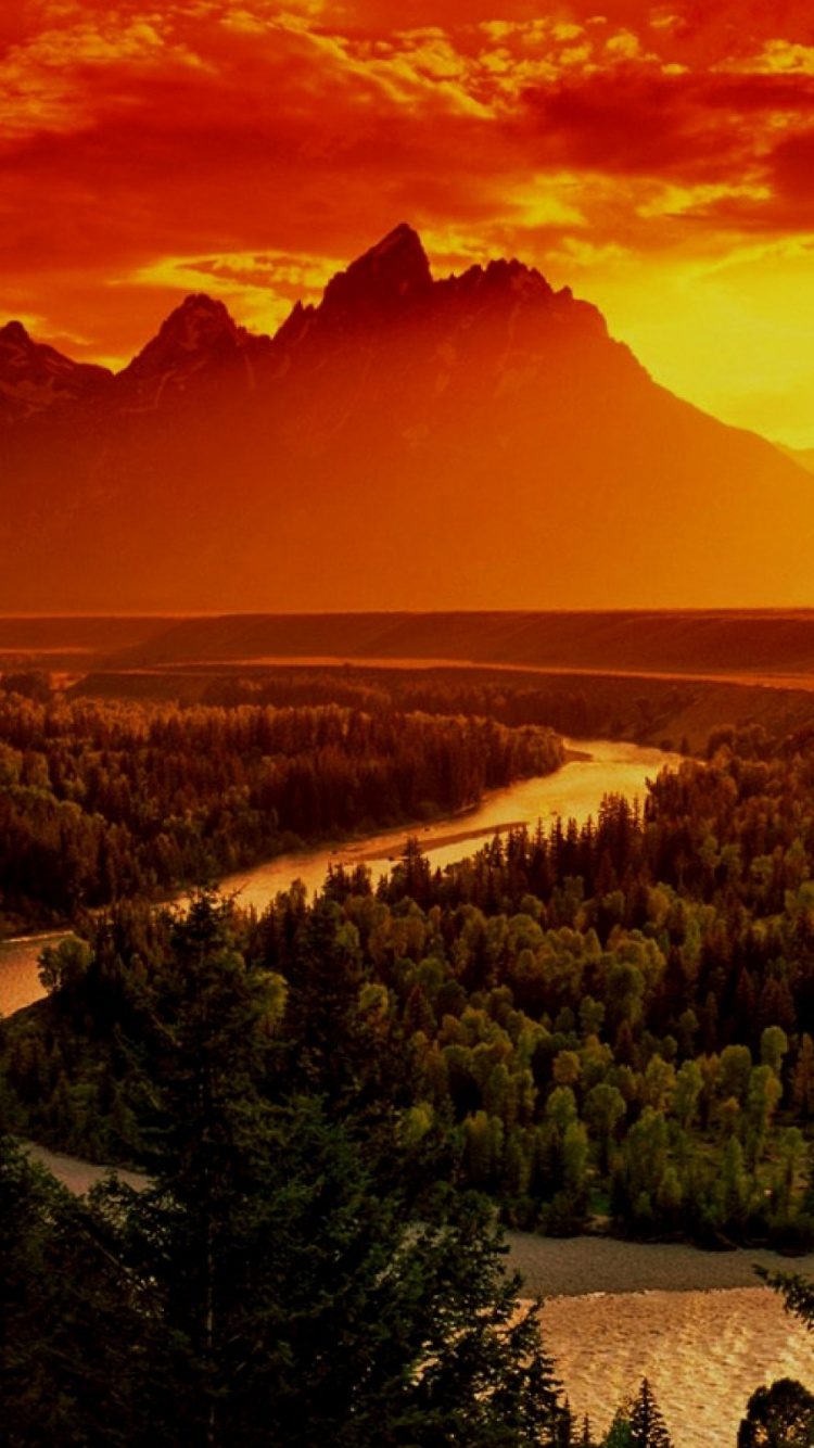 Grüne Bäume in Der Nähe Des Berges Während Des Sonnenuntergangs. Wallpaper in 750x1334 Resolution