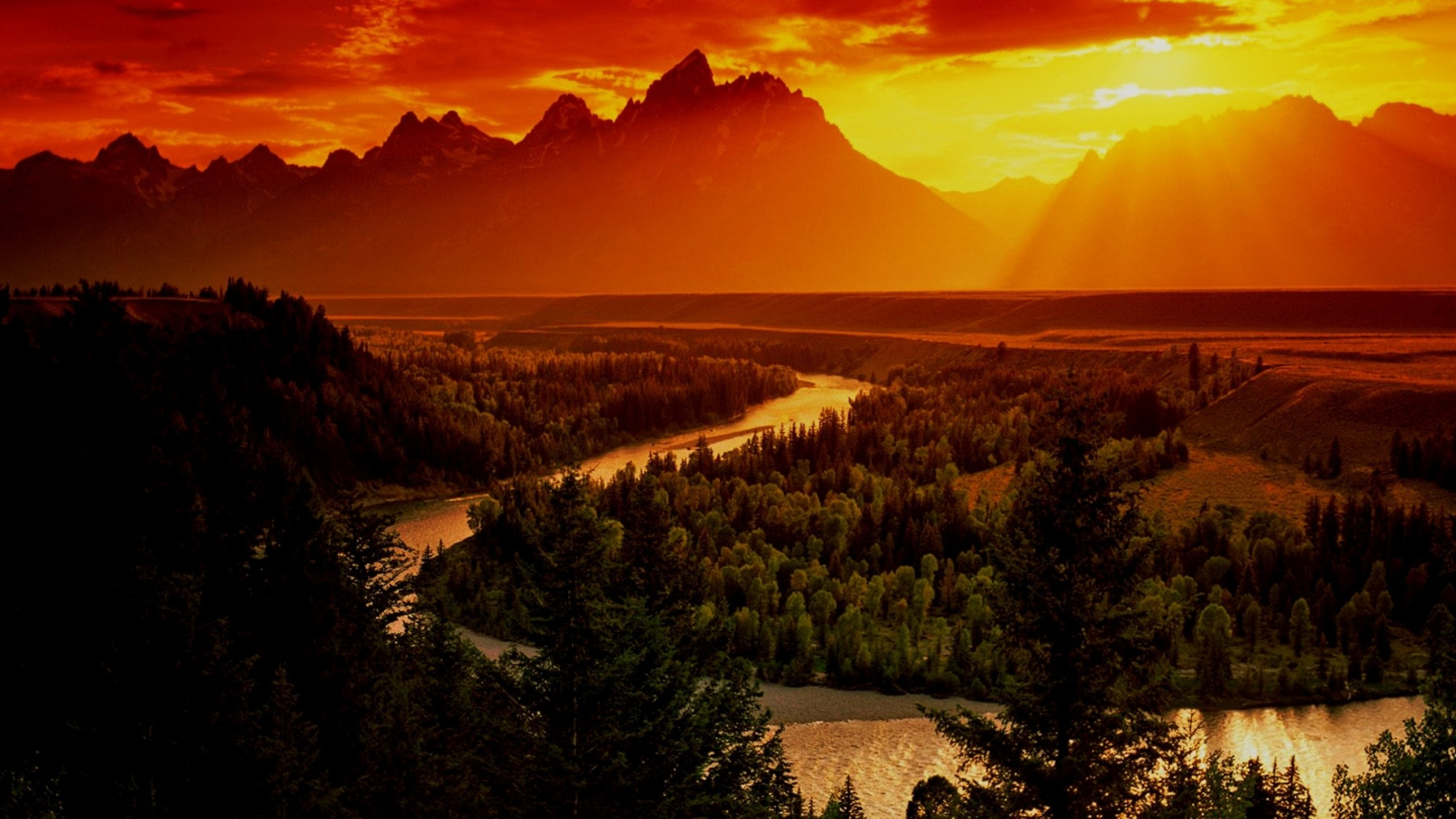 Green Trees Near Mountain During Sunset. Wallpaper in 2560x1440 Resolution