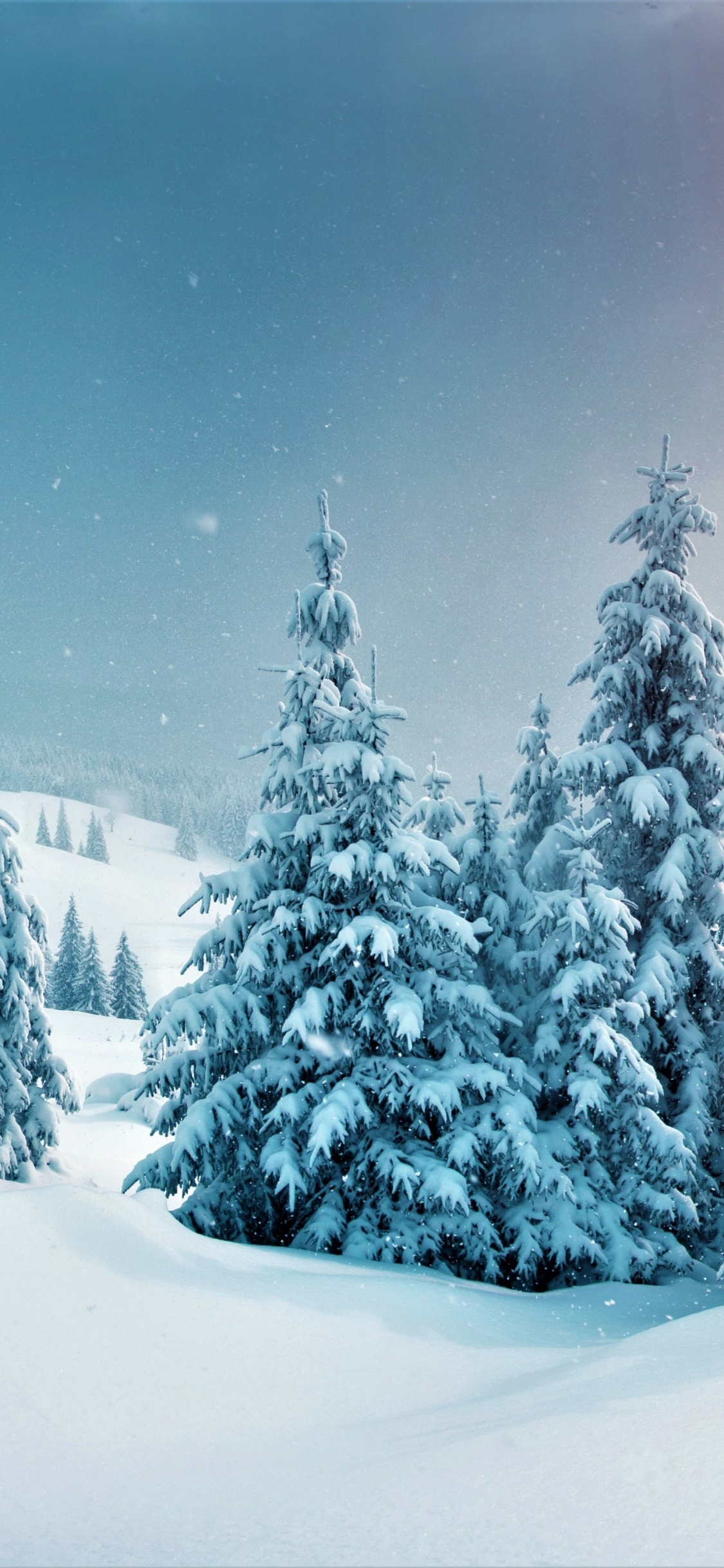 冬天, 性质, 落叶松, 自然景观, 斜坡 壁纸 1125x2436 允许