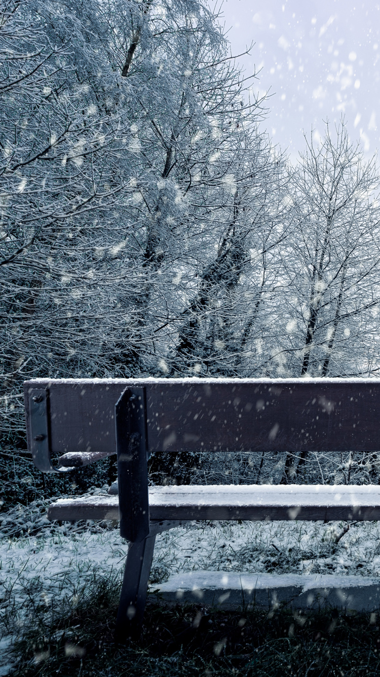 Snow, Winter, Tree, Freezing, Natural Landscape. Wallpaper in 750x1334 Resolution