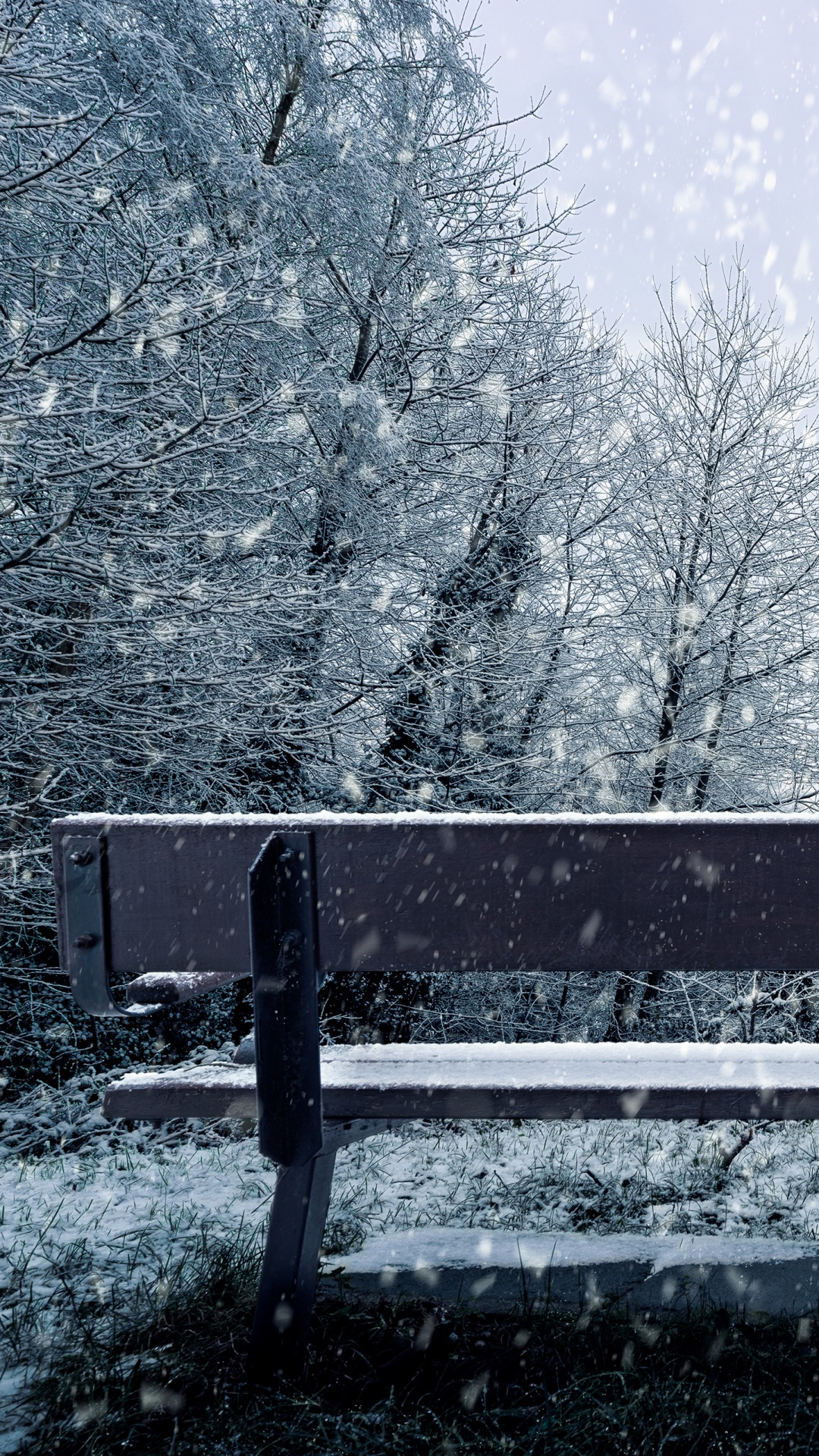 Neige, Hiver, Congélation, Paysage Naturel, Gel. Wallpaper in 1080x1920 Resolution