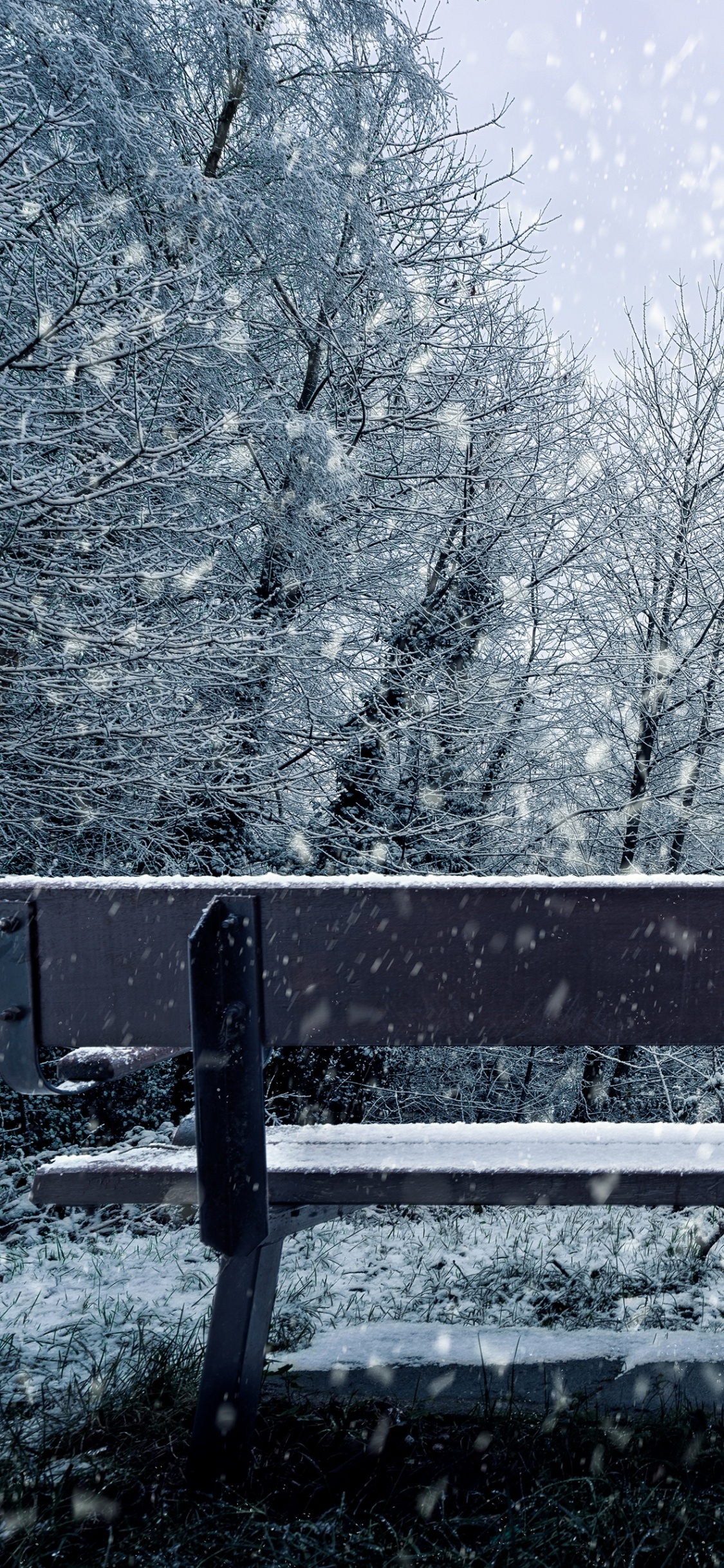 Neige, Hiver, Congélation, Paysage Naturel, Gel. Wallpaper in 1125x2436 Resolution