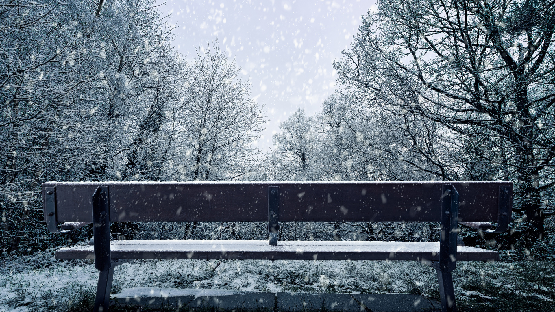 Neige, Hiver, Congélation, Paysage Naturel, Gel. Wallpaper in 1920x1080 Resolution