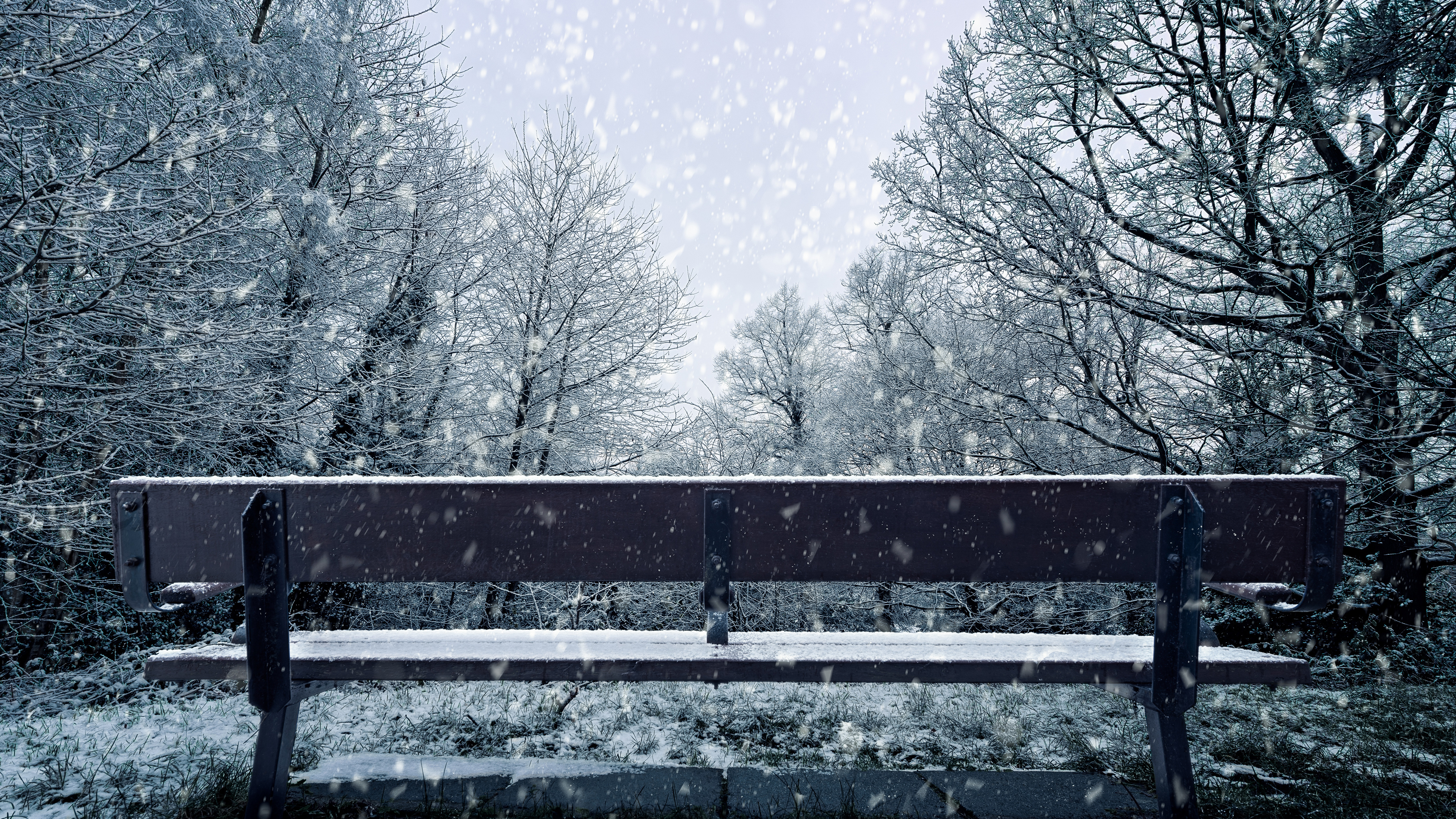 Neige, Hiver, Congélation, Paysage Naturel, Gel. Wallpaper in 3840x2160 Resolution