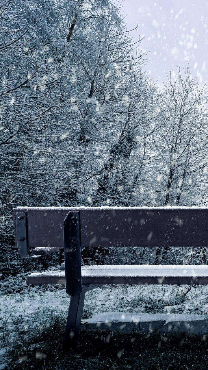 Neige, Hiver, Congélation, Paysage Naturel, Gel. Wallpaper in 720x1280 Resolution