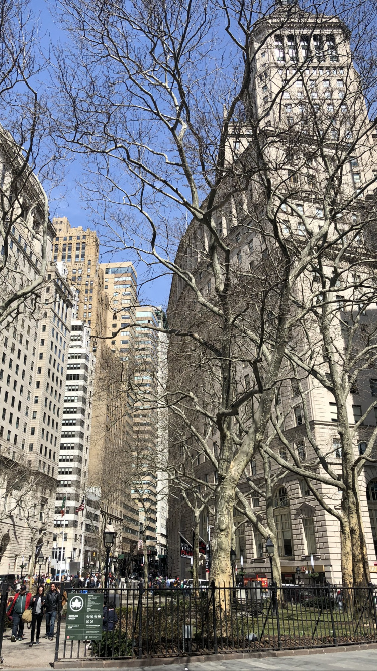 New York City, Stadtgebiet, Nachbarschaft, Architektur, Street. Wallpaper in 750x1334 Resolution