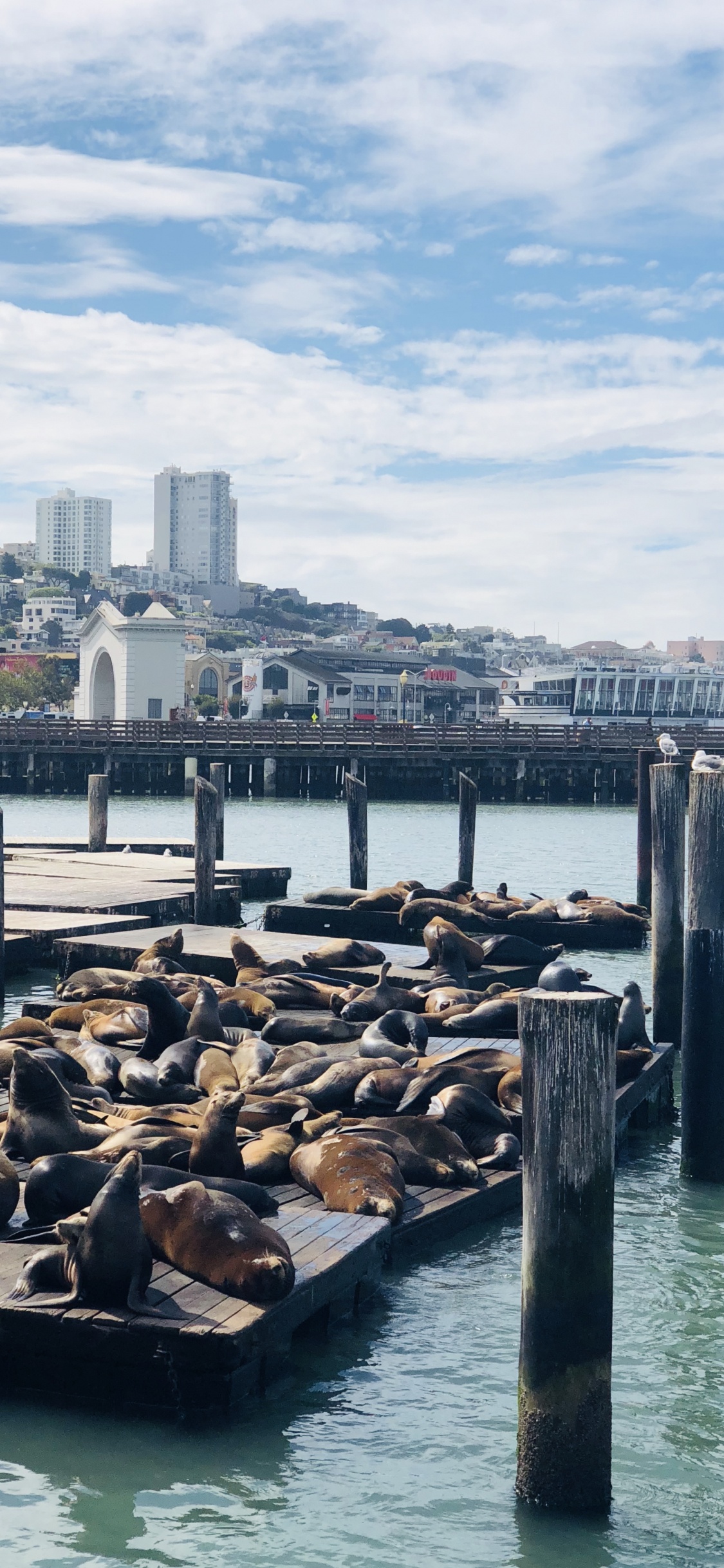 Pier, San Francisco, Jetée 39, le Transport de L'eau, Eau. Wallpaper in 1125x2436 Resolution