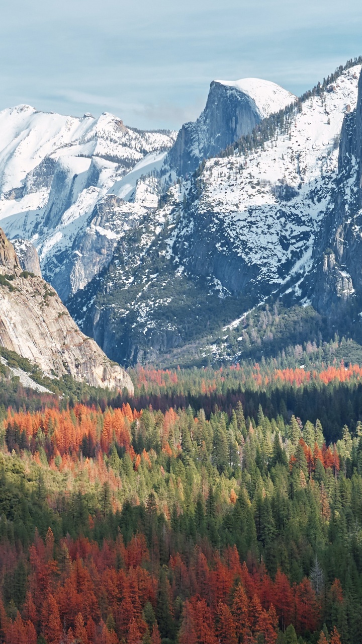 Yosemite National Park, Tunnel View, Shenandoah National Park, Channel Islands National Park, National Park. Wallpaper in 720x1280 Resolution
