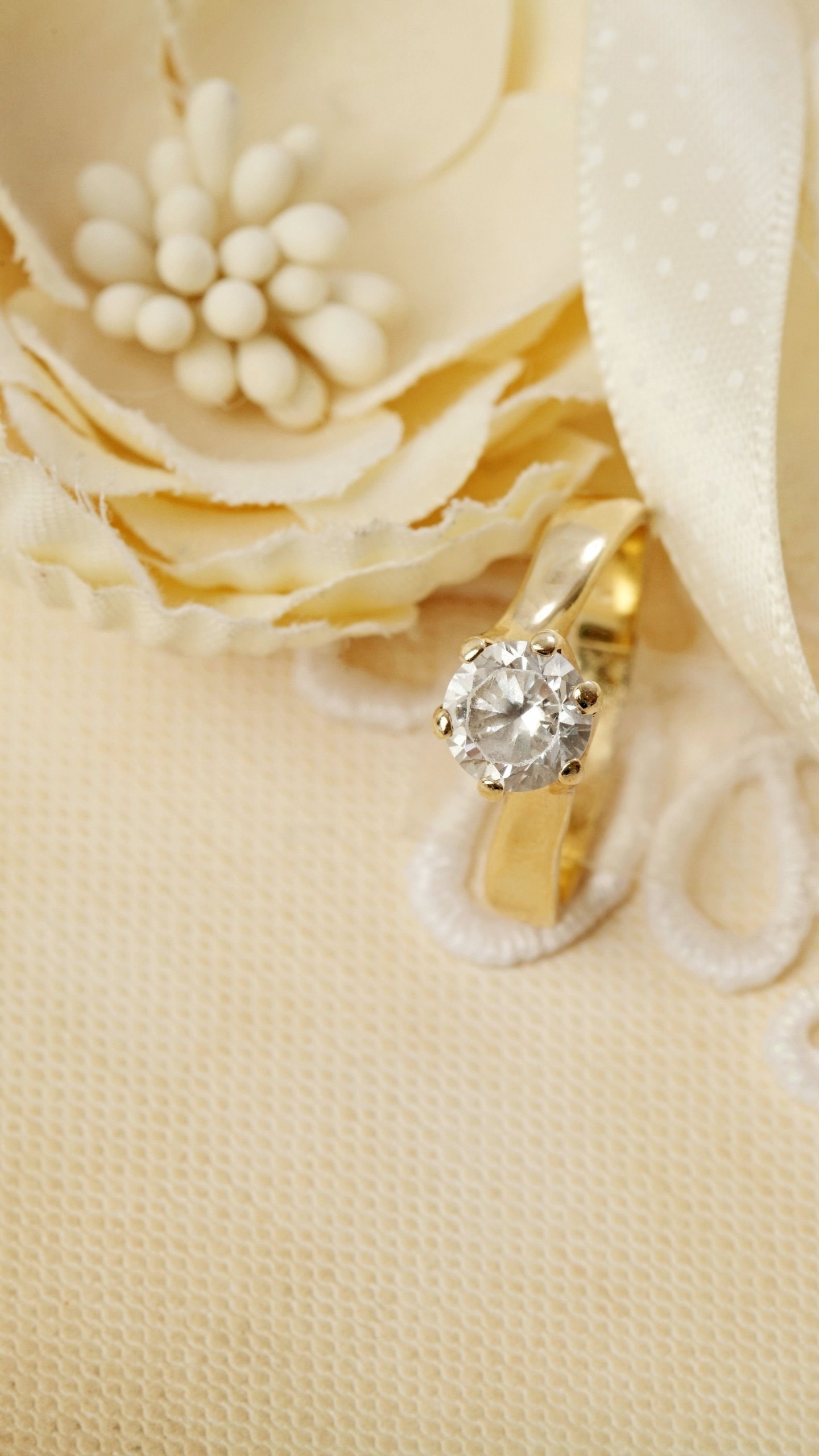 Trauring, Ring, Mode-Accessoire, Körper-Schmuck, Schmuckstück. Wallpaper in 1440x2560 Resolution