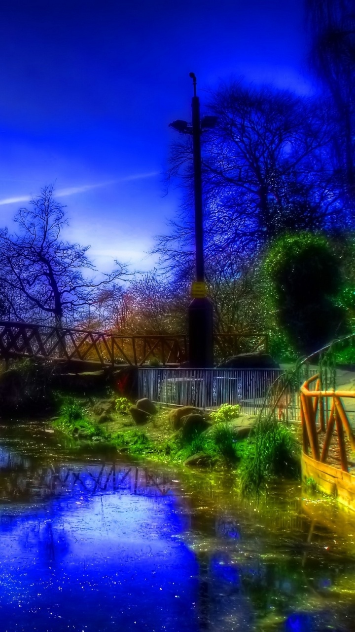 Green Trees Near Body of Water During Night Time. Wallpaper in 720x1280 Resolution