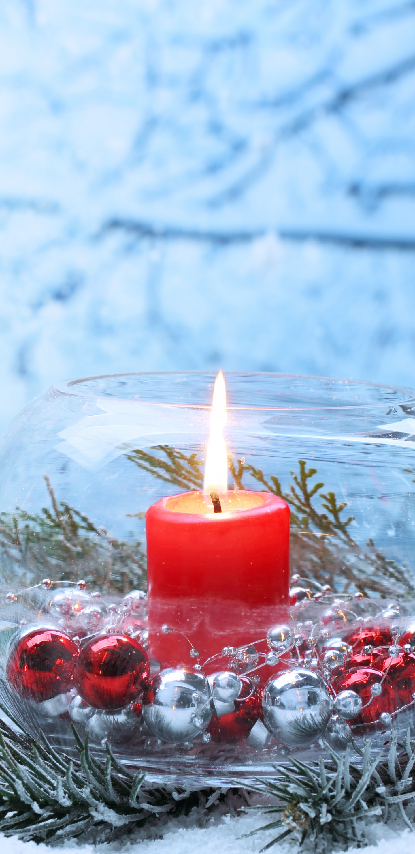 Christmas Day, Candle, Winter, Branch, Christmas. Wallpaper in 1440x2960 Resolution