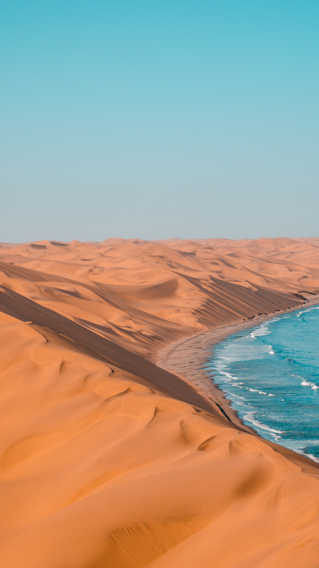 Namibia Tourismus, Etosha National Park, Botswana, Reise, Safari. Wallpaper in 1080x1920 Resolution