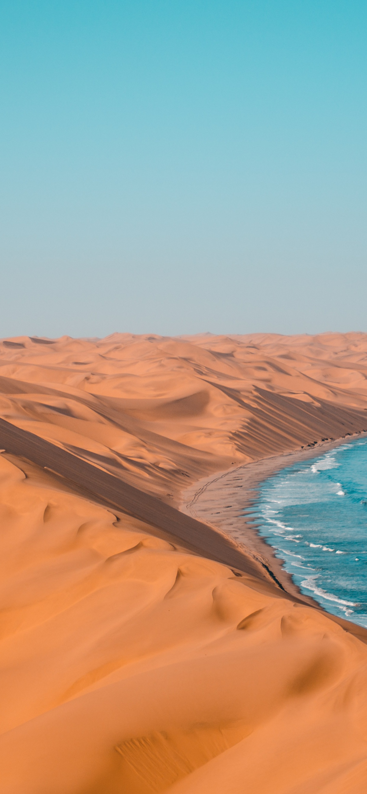 Namibia Tourismus, Etosha National Park, Botswana, Reise, Safari. Wallpaper in 1242x2688 Resolution