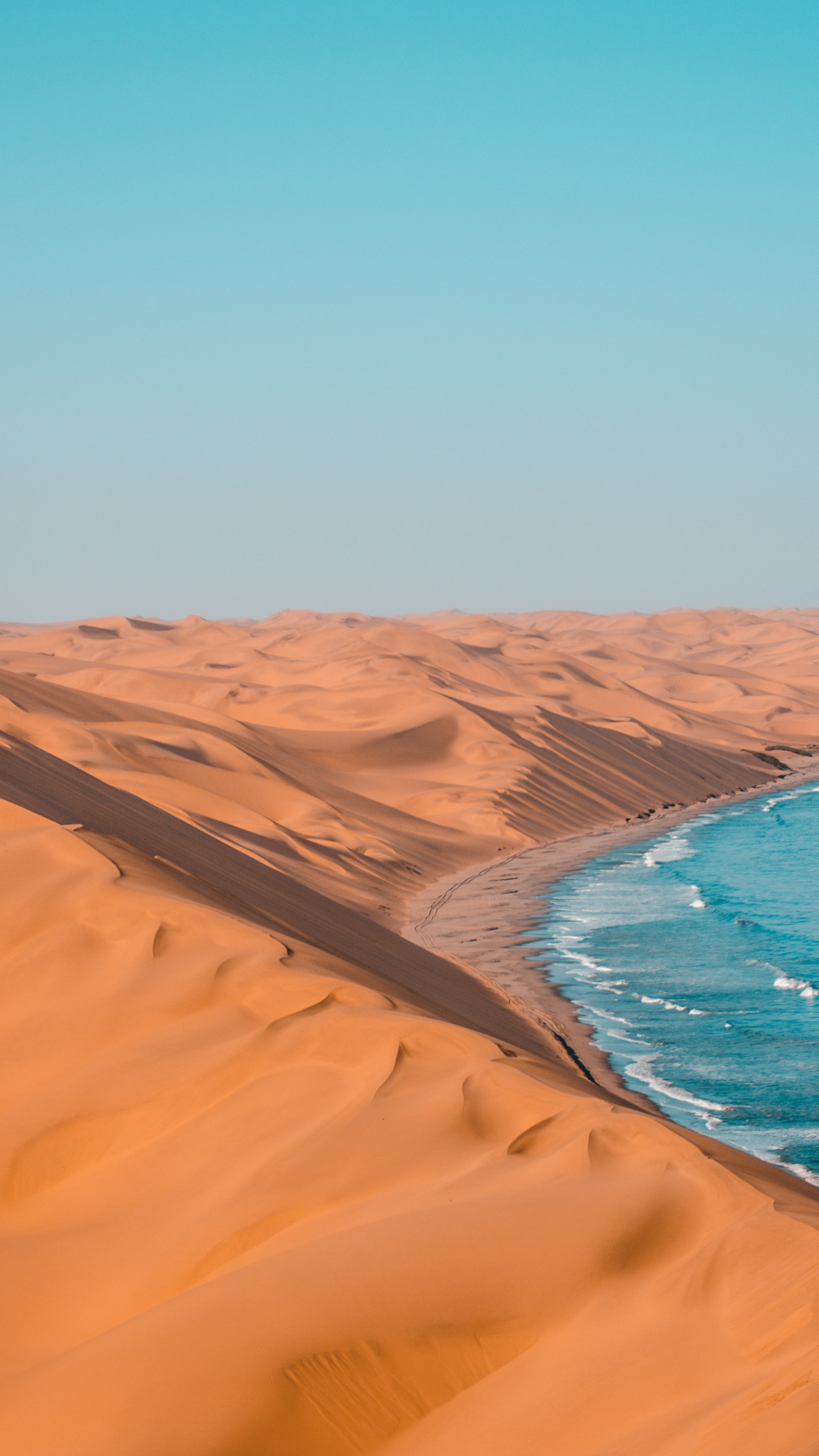 Turismo en Namibia, el Parque Nacional de Etosha, Botsuana, Viaje, Safari. Wallpaper in 1440x2560 Resolution