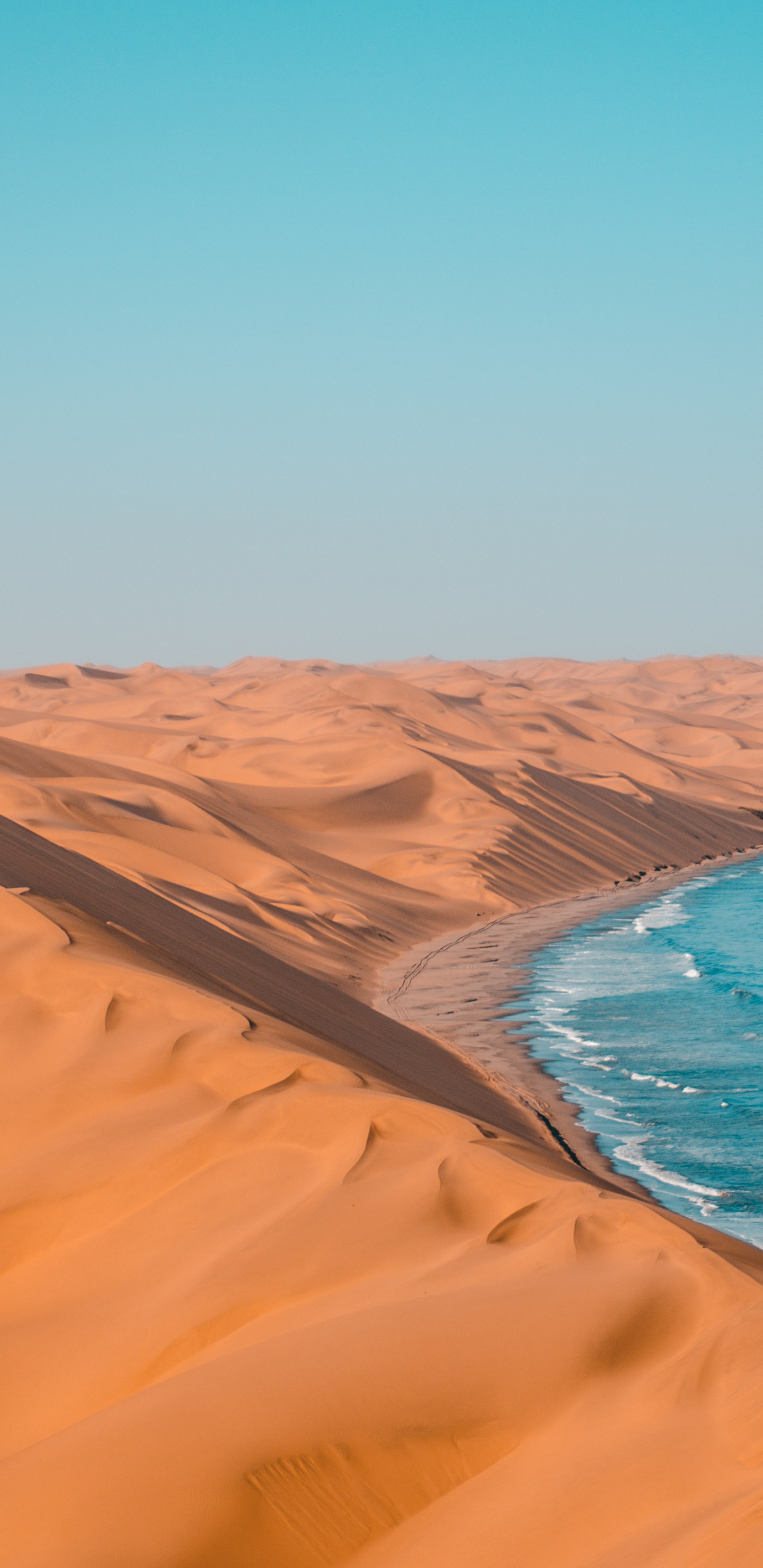 Turismo en Namibia, el Parque Nacional de Etosha, Botsuana, Viaje, Safari. Wallpaper in 1440x2960 Resolution