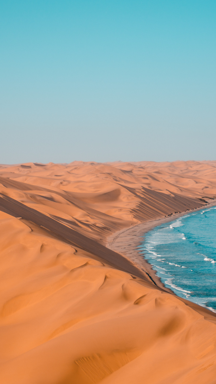 Turismo en Namibia, el Parque Nacional de Etosha, Botsuana, Viaje, Safari. Wallpaper in 750x1334 Resolution
