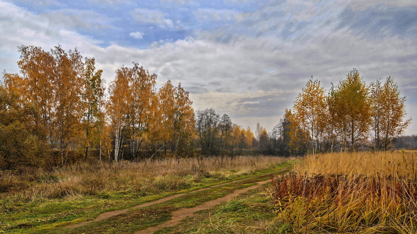 Brown Grass Field Under Cloudy Sky During Daytime. Wallpaper in 1366x768 Resolution
