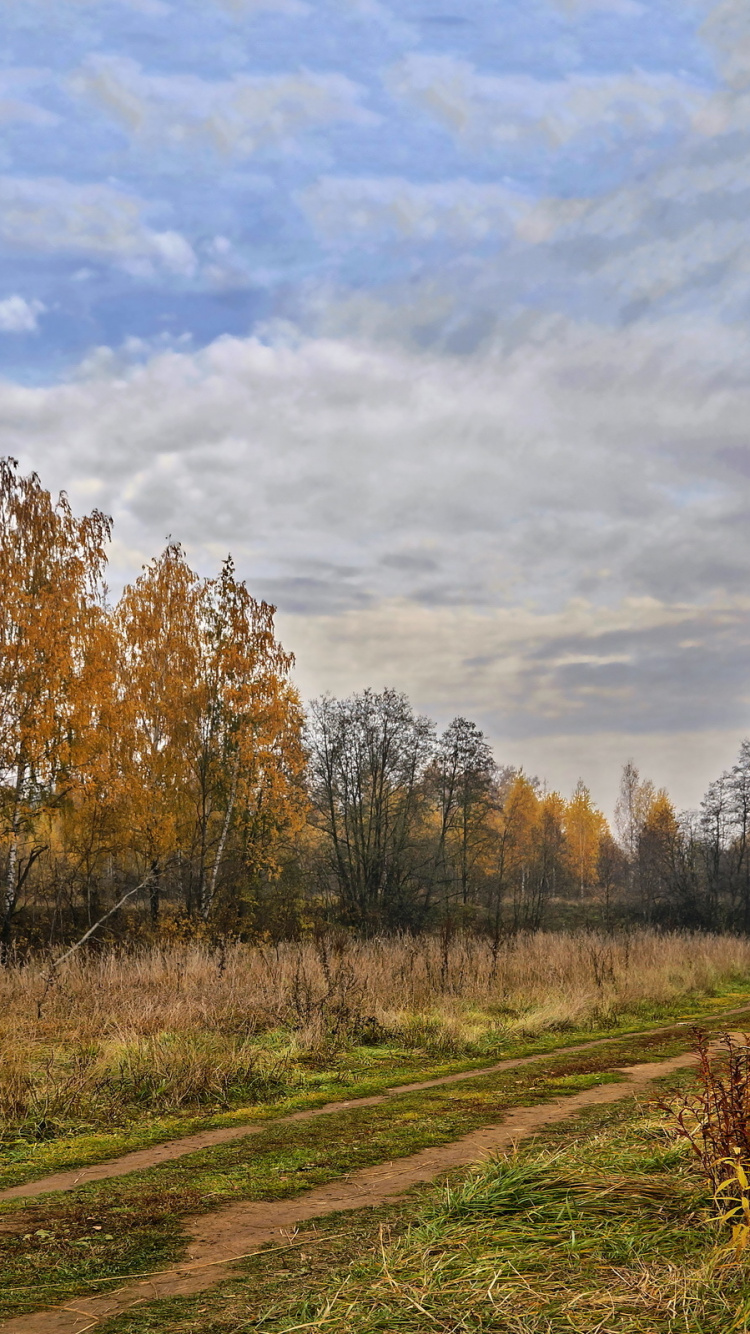 Brown Grass Field Under Cloudy Sky During Daytime. Wallpaper in 750x1334 Resolution