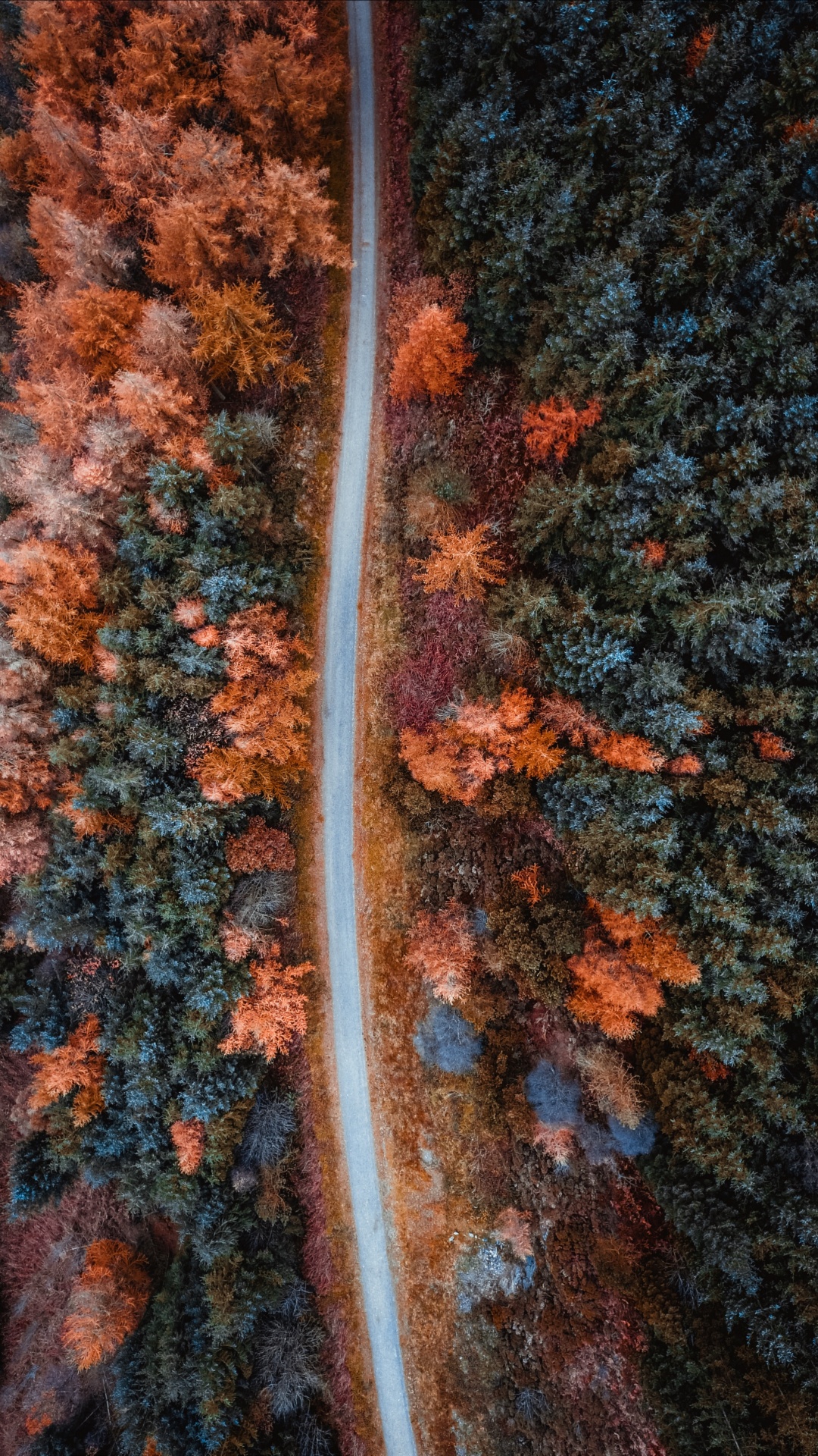 Orange, Brown, Feuille, Tricot, Textile. Wallpaper in 1080x1920 Resolution