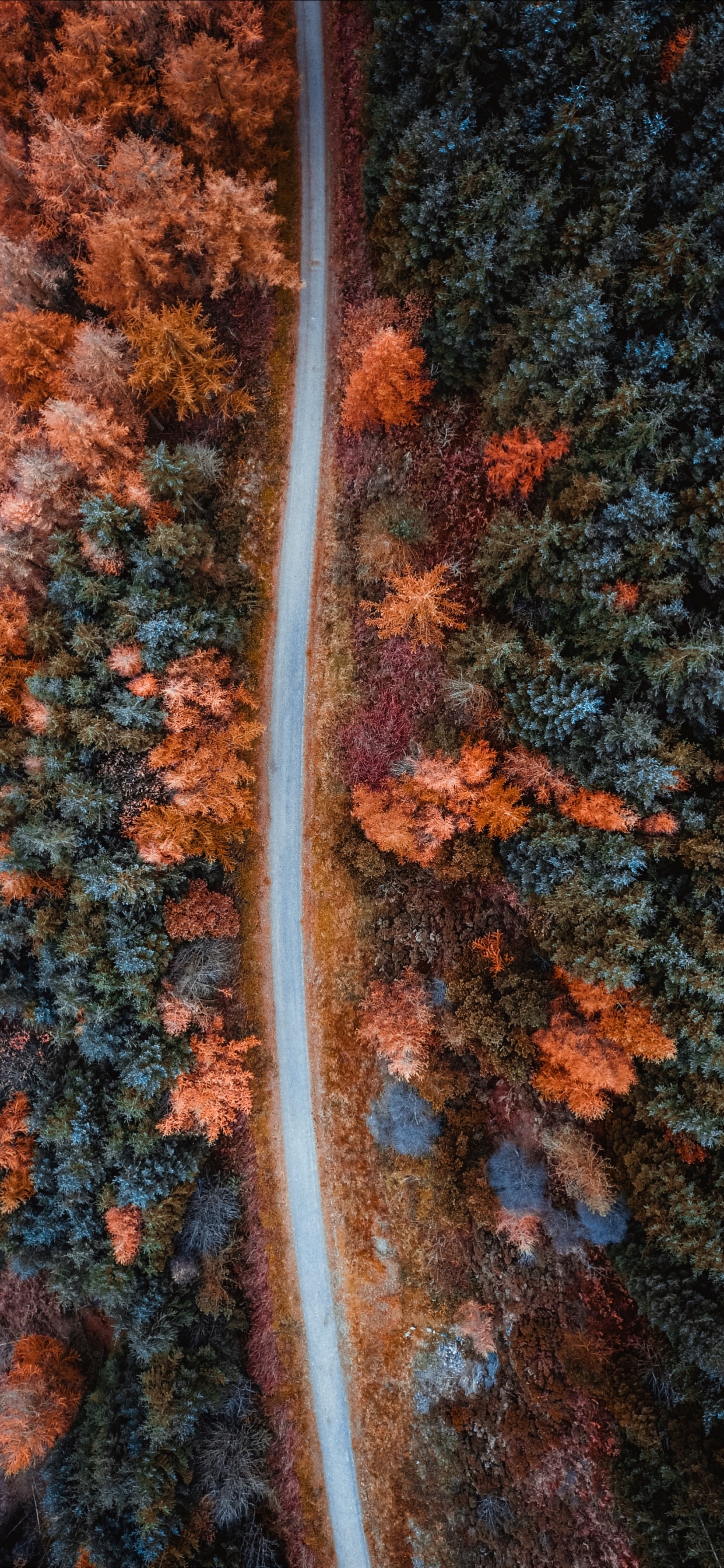 Orange, Brown, Feuille, Tricot, Textile. Wallpaper in 1242x2688 Resolution