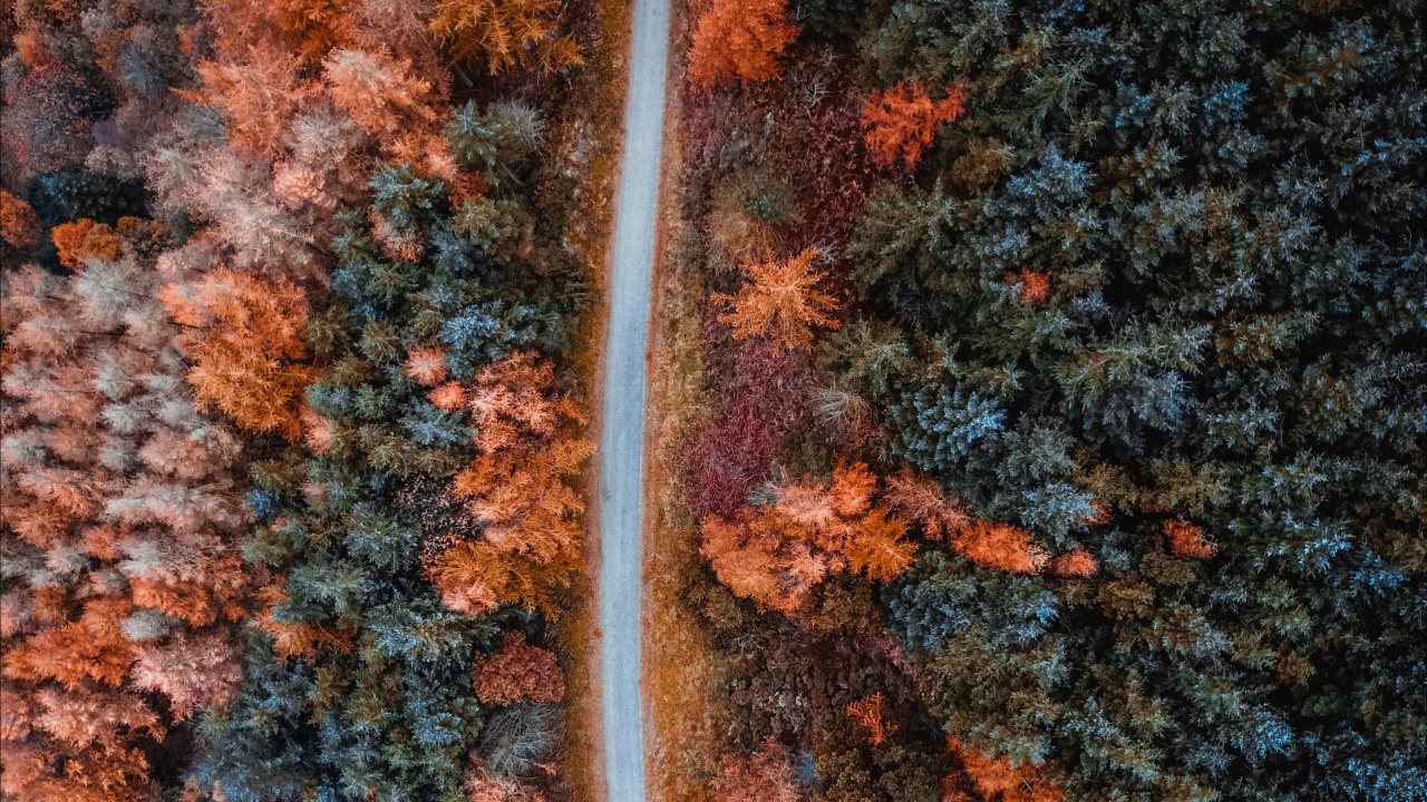 Orange, Brown, Feuille, Tricot, Textile. Wallpaper in 1280x720 Resolution