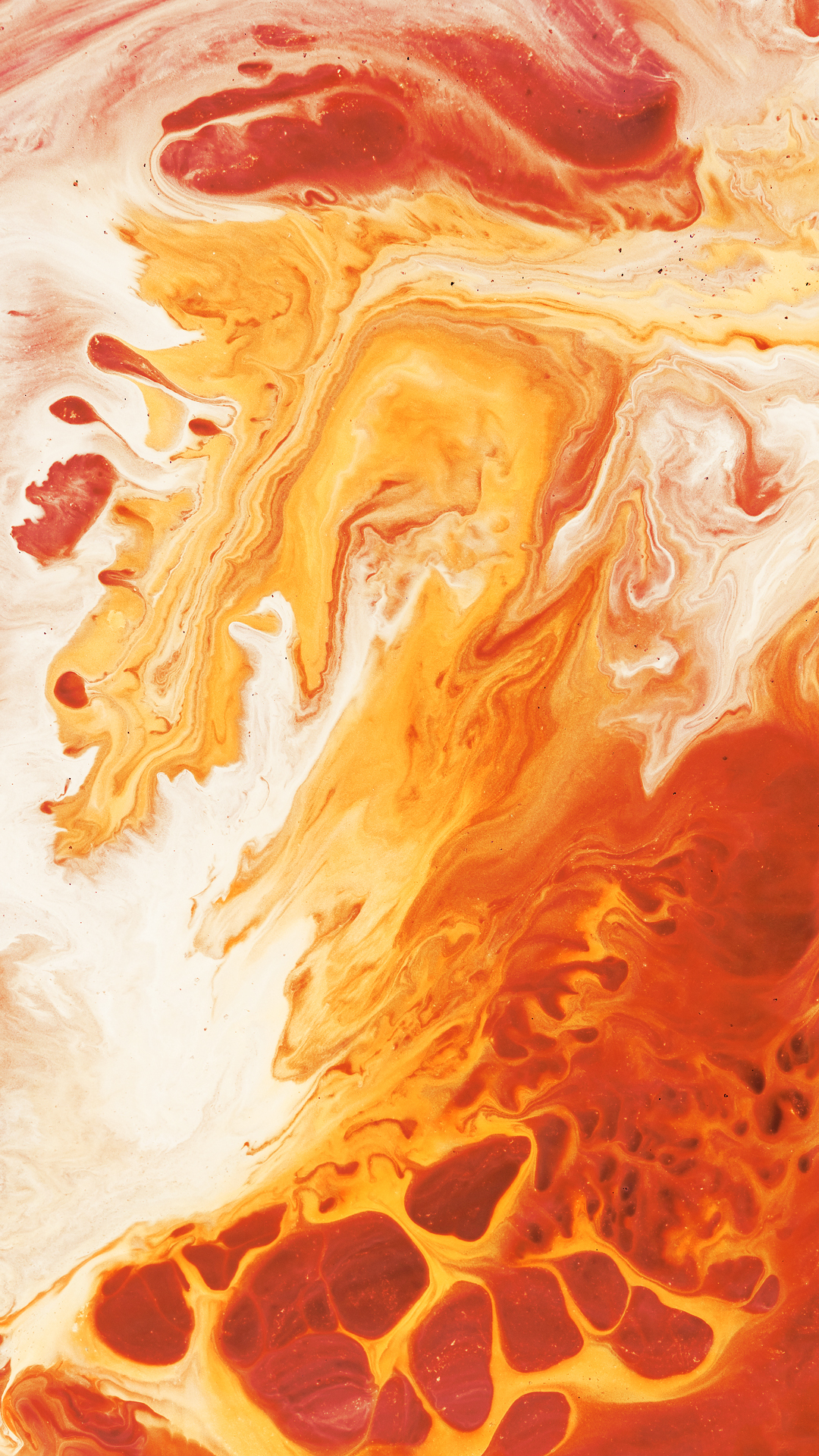 Système D'exploitation Androïde Paranoïaque, Android, Paranoid Android, Brown, Ambre. Wallpaper in 1080x1920 Resolution