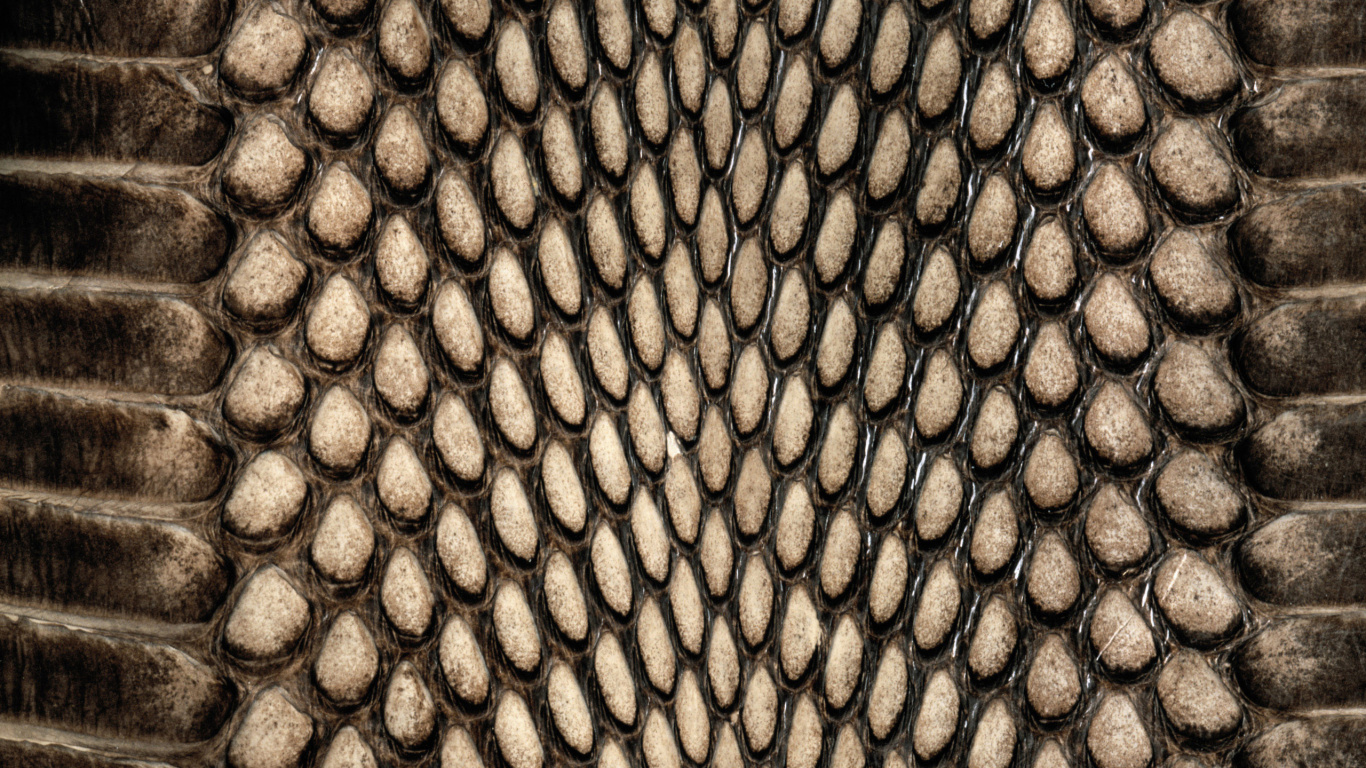 Mur de Pierre Marron et Noir. Wallpaper in 1366x768 Resolution