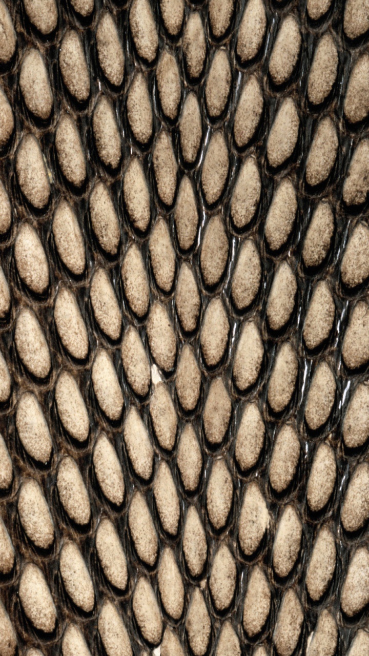 Braune Und Schwarze Steinmauer. Wallpaper in 720x1280 Resolution