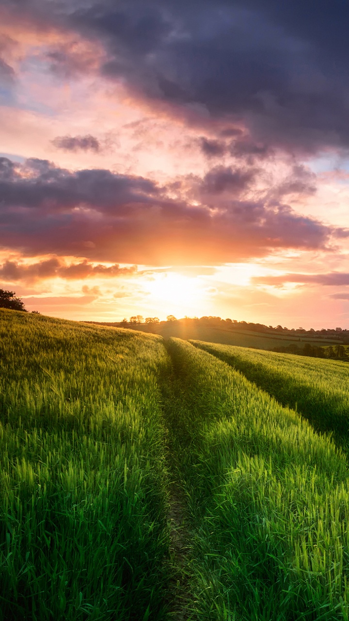 Green Grass Field Under Cloudy Sky During Daytime. Wallpaper in 720x1280 Resolution