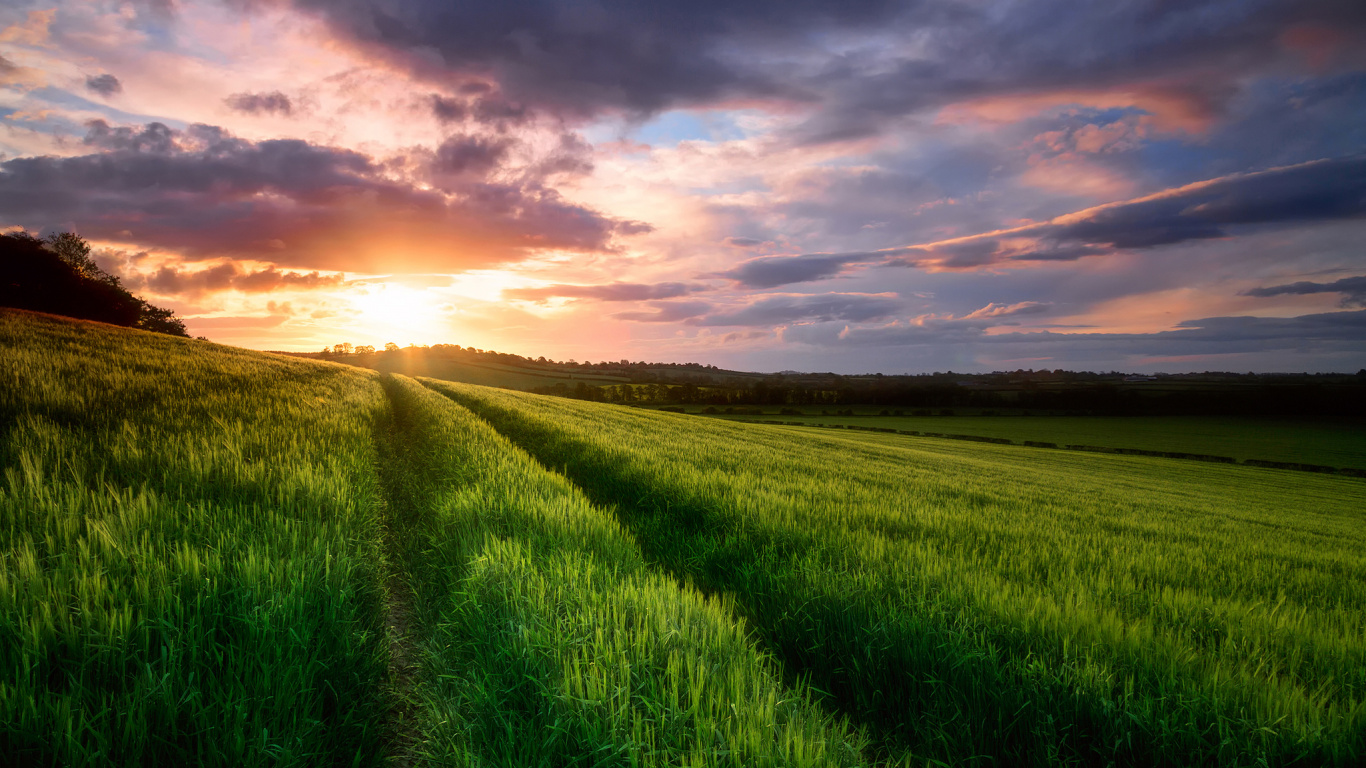 Tagsüber Grüne Wiese Unter Bewölktem Himmel. Wallpaper in 1366x768 Resolution