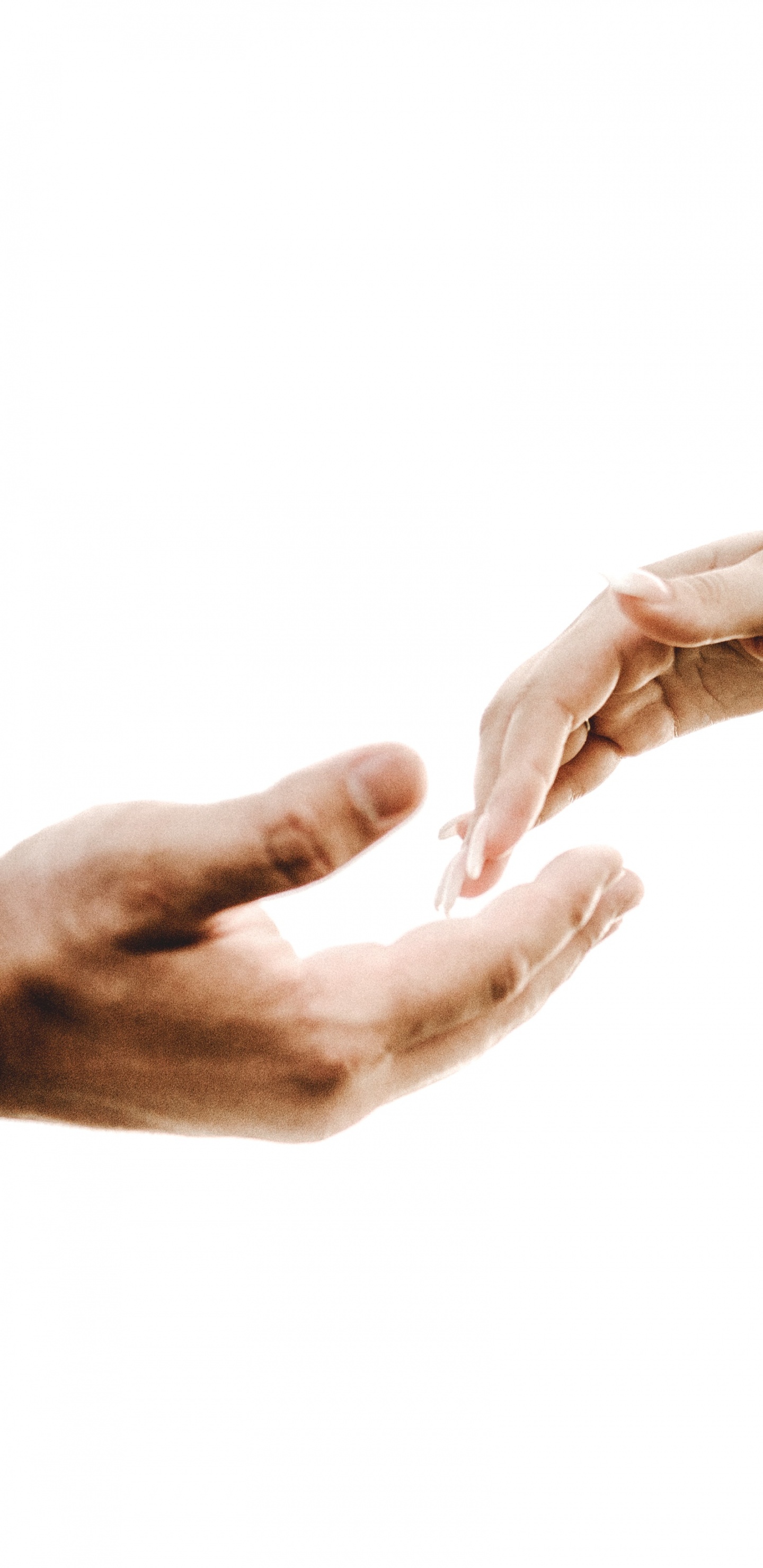 手, 手臂, 手势, 手腕, 肌肉 壁纸 1440x2960 允许