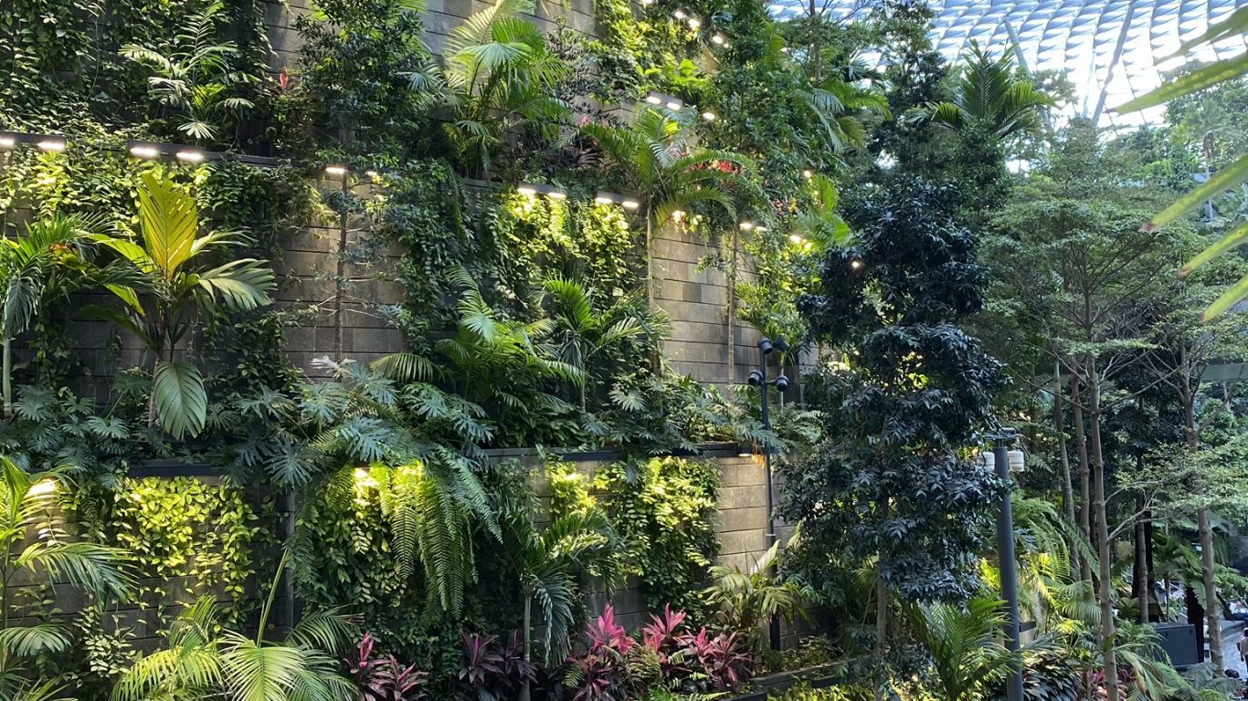 Vegetation, Botanical Garden, Biome, Landscape, Garden. Wallpaper in 1366x768 Resolution