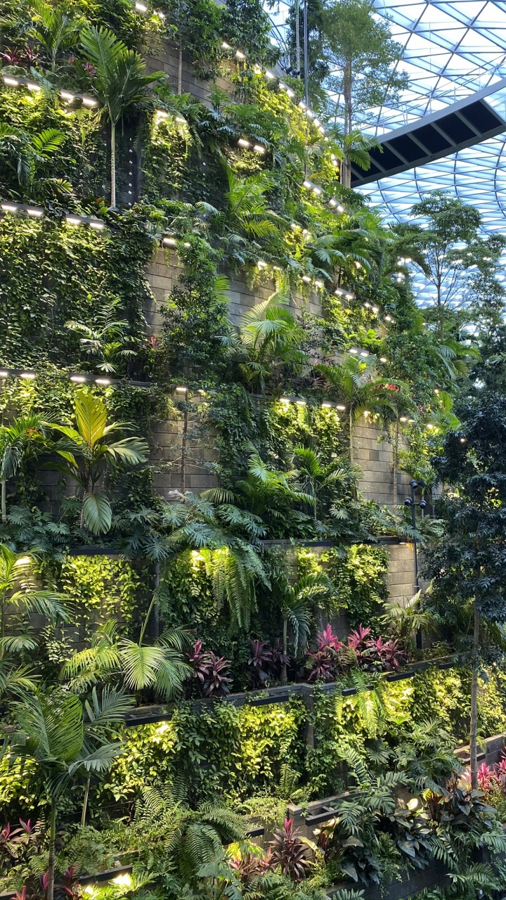 Vegetation, Botanical Garden, Biome, Landscape, Garden. Wallpaper in 720x1280 Resolution