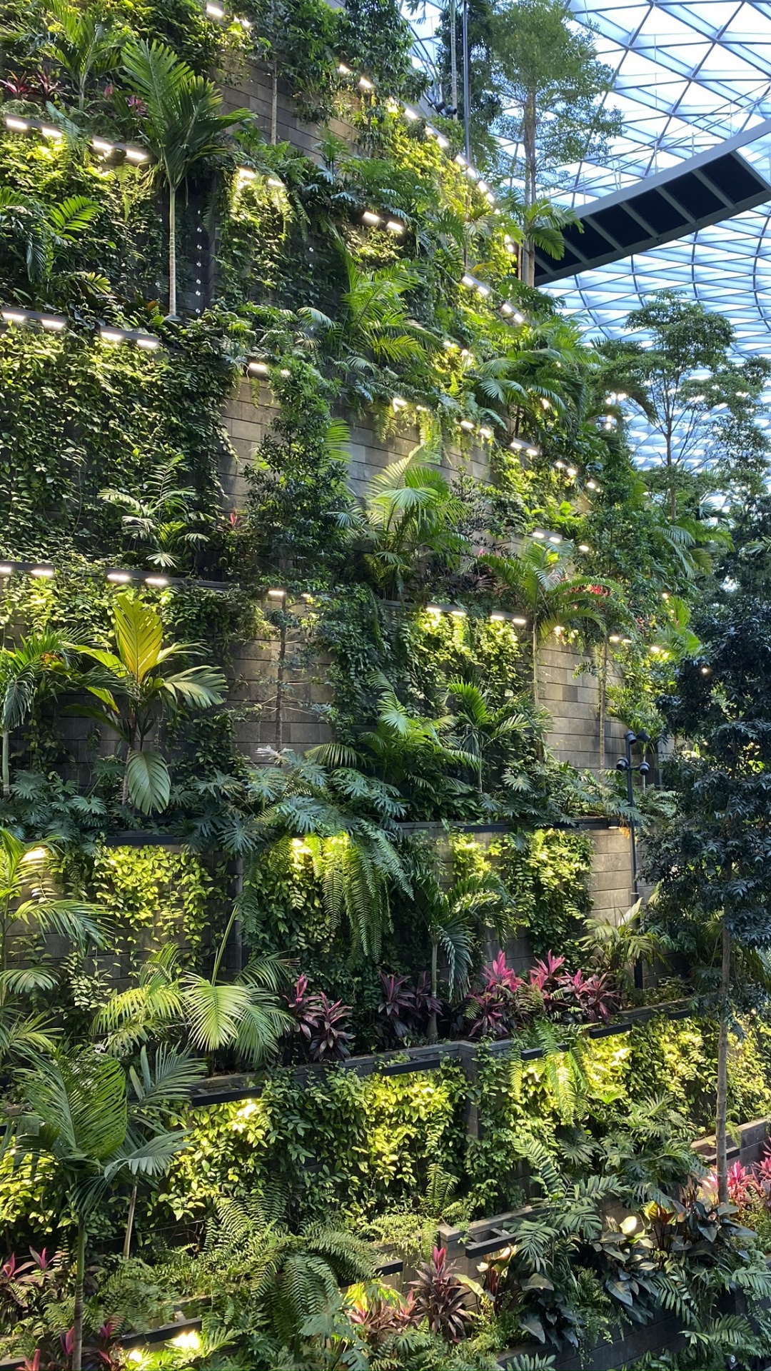 植被, 植物园, 生物群落, 花园, 灌木 壁纸 1080x1920 允许