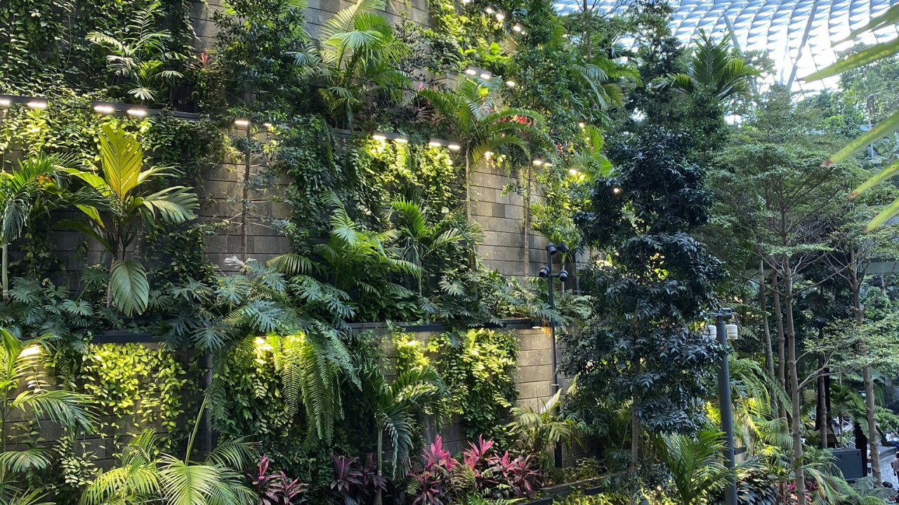 植被, 植物园, 生物群落, 花园, 灌木 壁纸 1280x720 允许