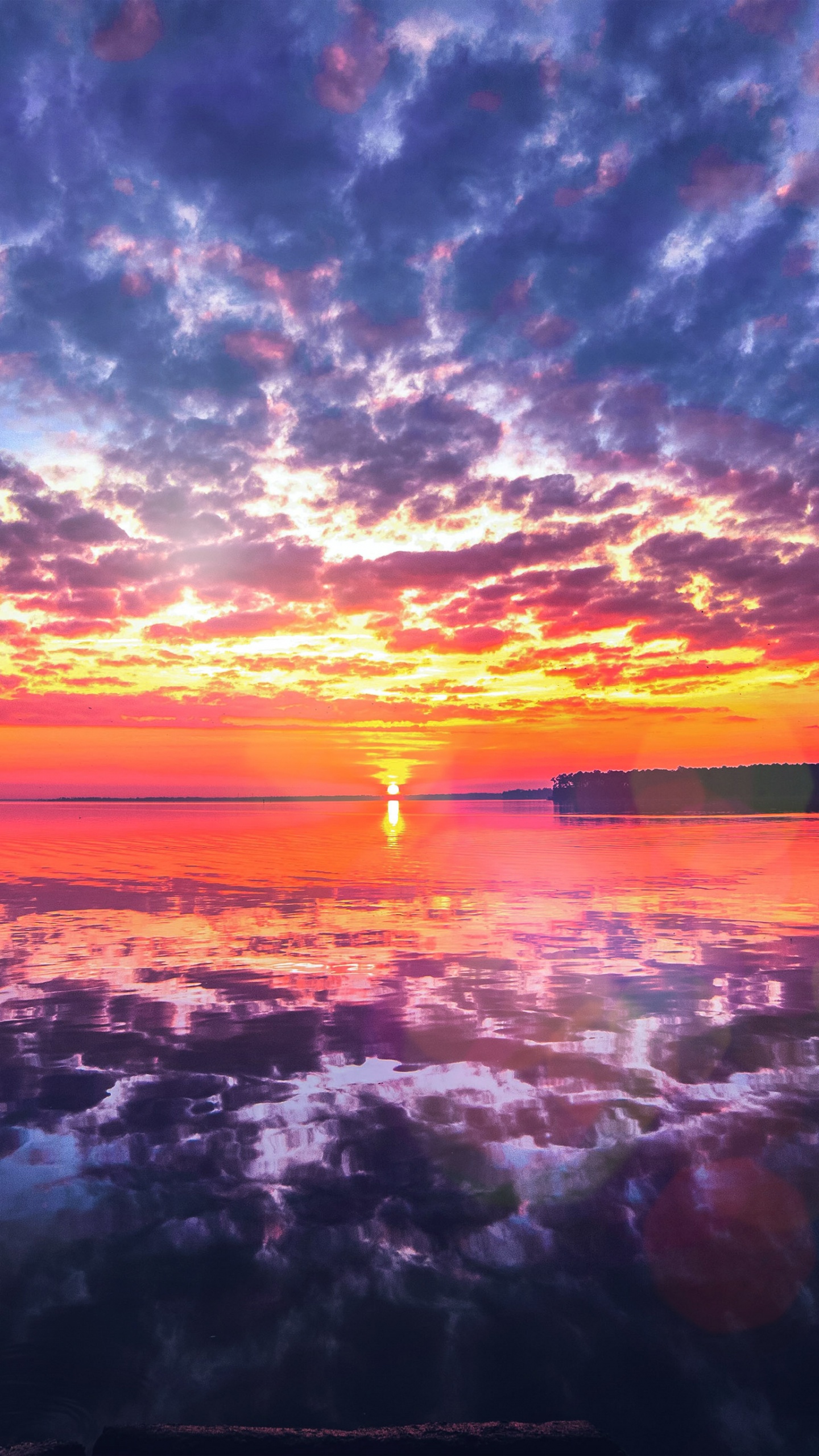 Sunrise, Apples, Cloud, Water, Atmosphere. Wallpaper in 1440x2560 Resolution