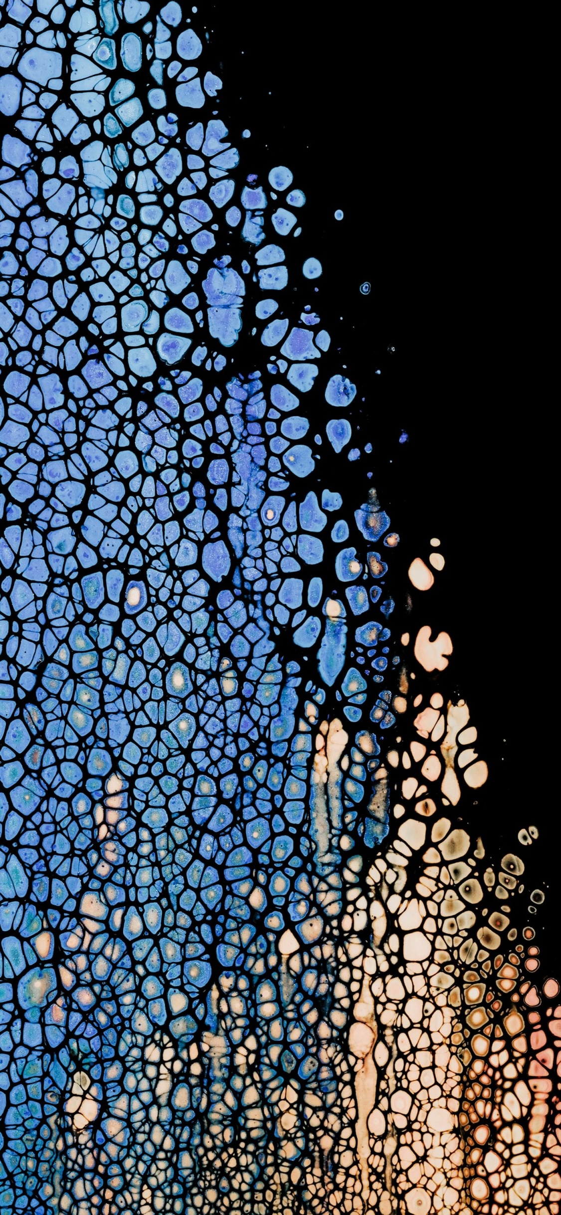 Amoled, OLED, Apple, IOS, Symétrie. Wallpaper in 1125x2436 Resolution