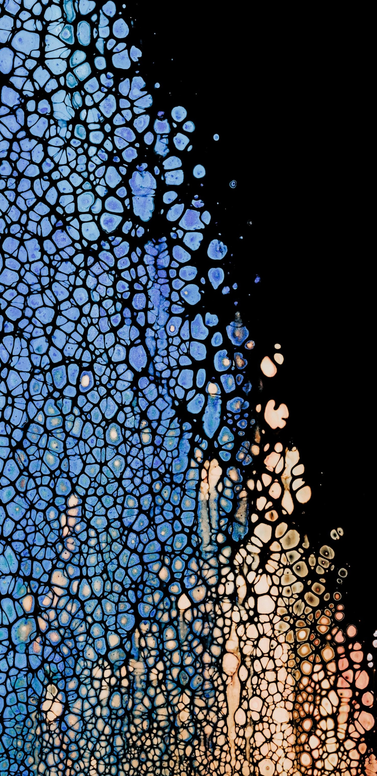 Amoled, OLED, Apple, IOS, Symétrie. Wallpaper in 1440x2960 Resolution