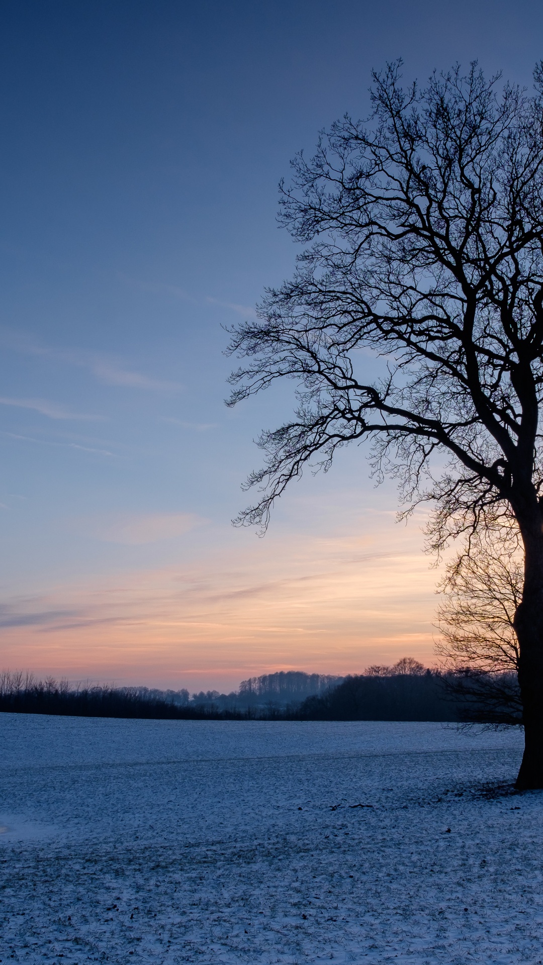 Sucursal, Paisaje Natural, Ambiente, Invierno, Atardecer. Wallpaper in 1080x1920 Resolution