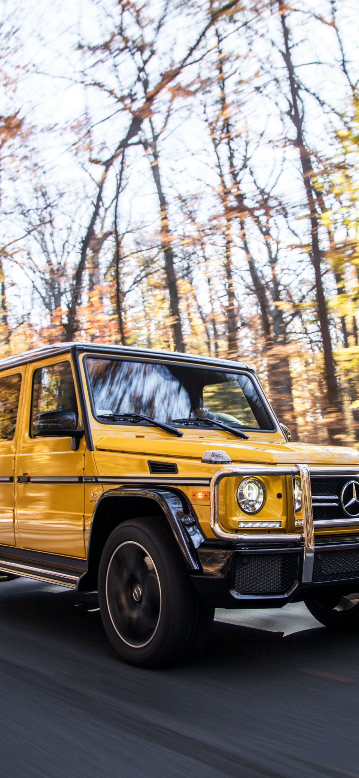 Yellow and Black Car on Road in Between Trees During Daytime. Wallpaper in 1242x2688 Resolution