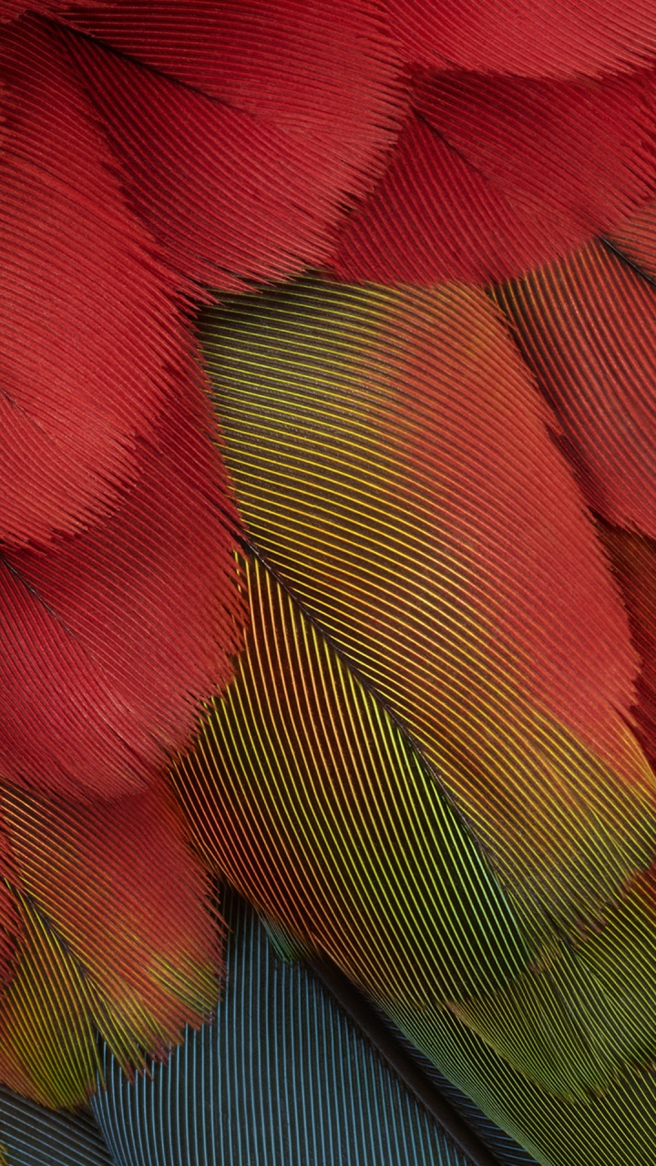 Píxel 7, Píxel 7 Un, Android, Google. Wallpaper in 720x1280 Resolution