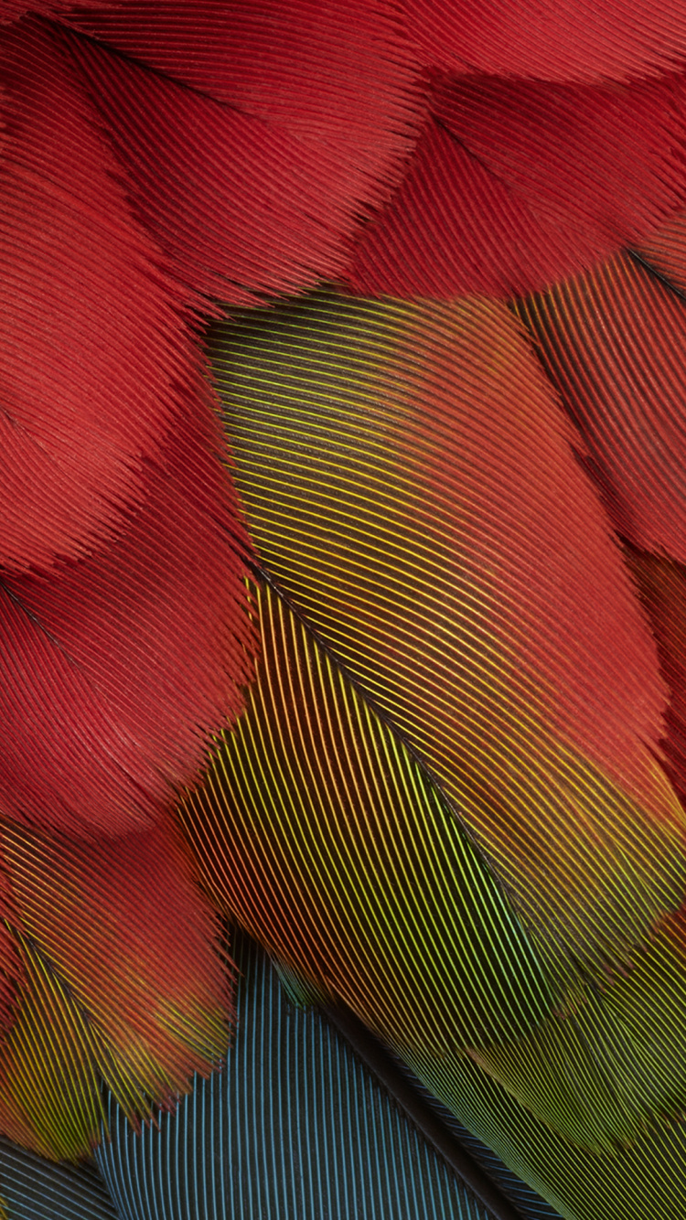 Píxel 7, Píxel 7 Un, Android, Google. Wallpaper in 750x1334 Resolution