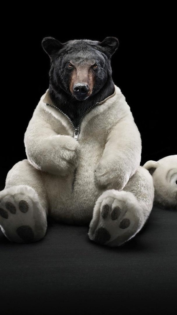 Brown and Black Short Coated Dog Playing With White and Black Dice. Wallpaper in 720x1280 Resolution