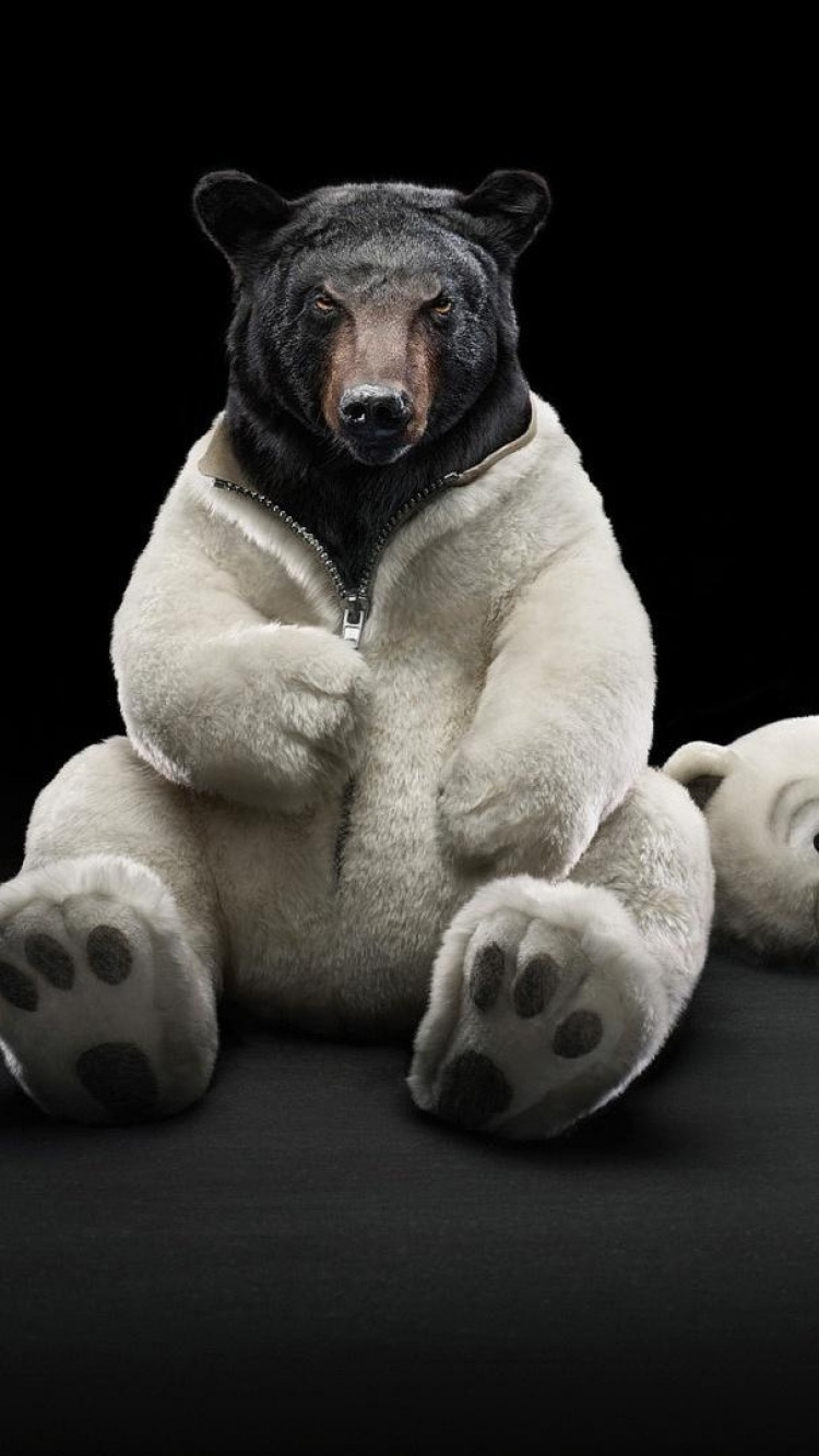 Chien à Poil Court Brun et Noir Jouant Avec Des Dés Blancs et Noirs. Wallpaper in 750x1334 Resolution