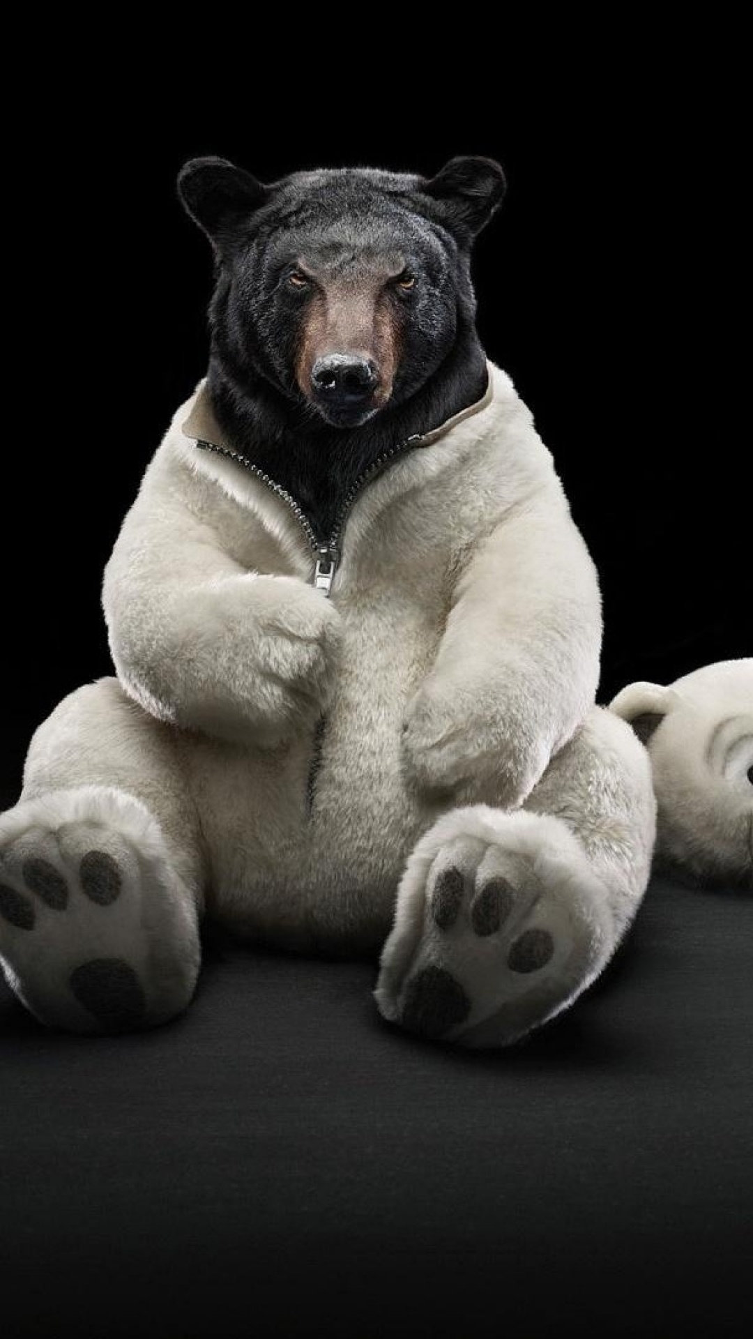 Brauner Und Schwarzer Kurzhaariger Hund, Der Mit Weißen Und Schwarzen Würfeln Spielt. Wallpaper in 1080x1920 Resolution