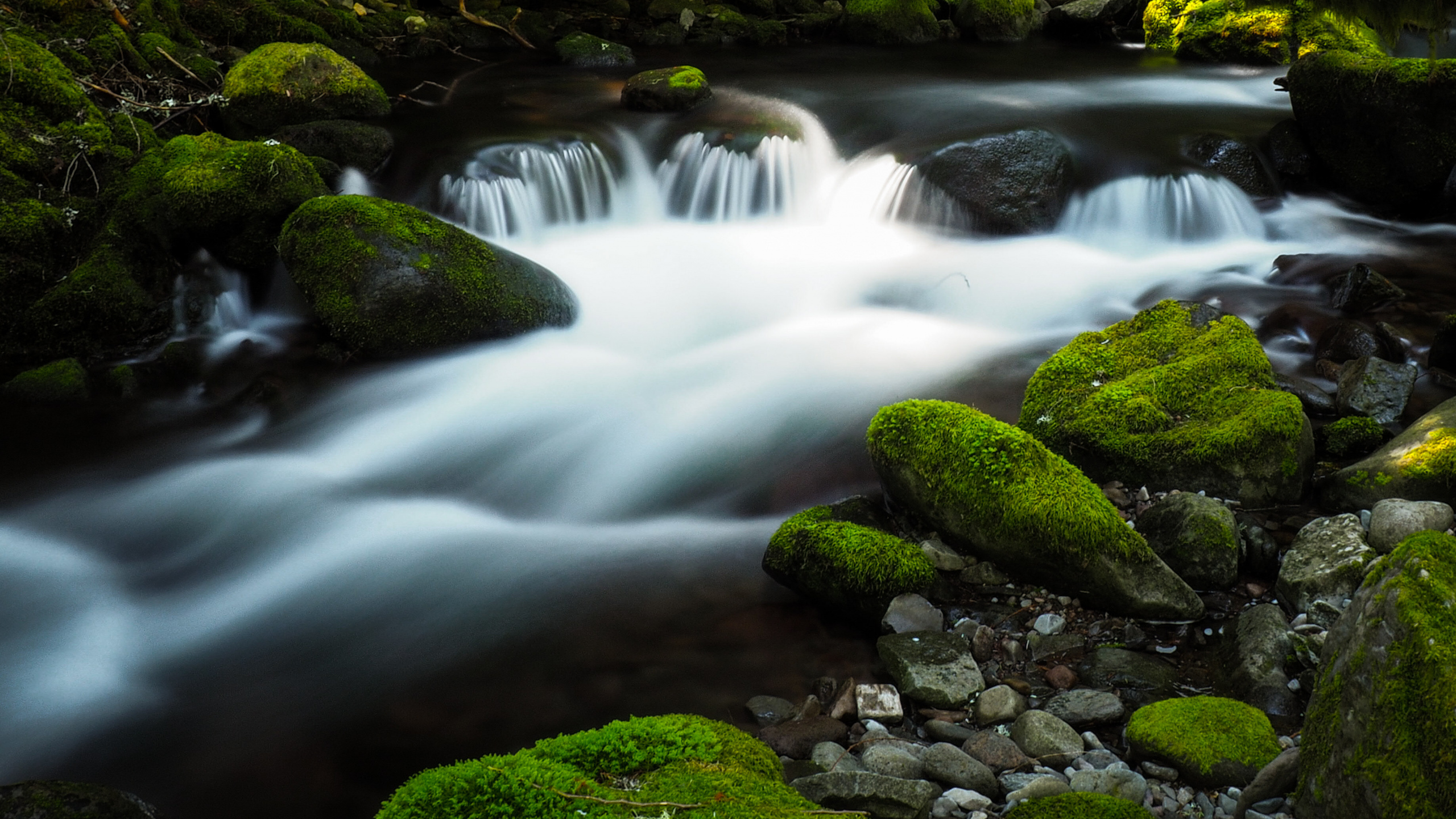 Blutiger Oblaka, Brook, Wasser, Wasserressourcen, Ökoregion. Wallpaper in 2560x1440 Resolution