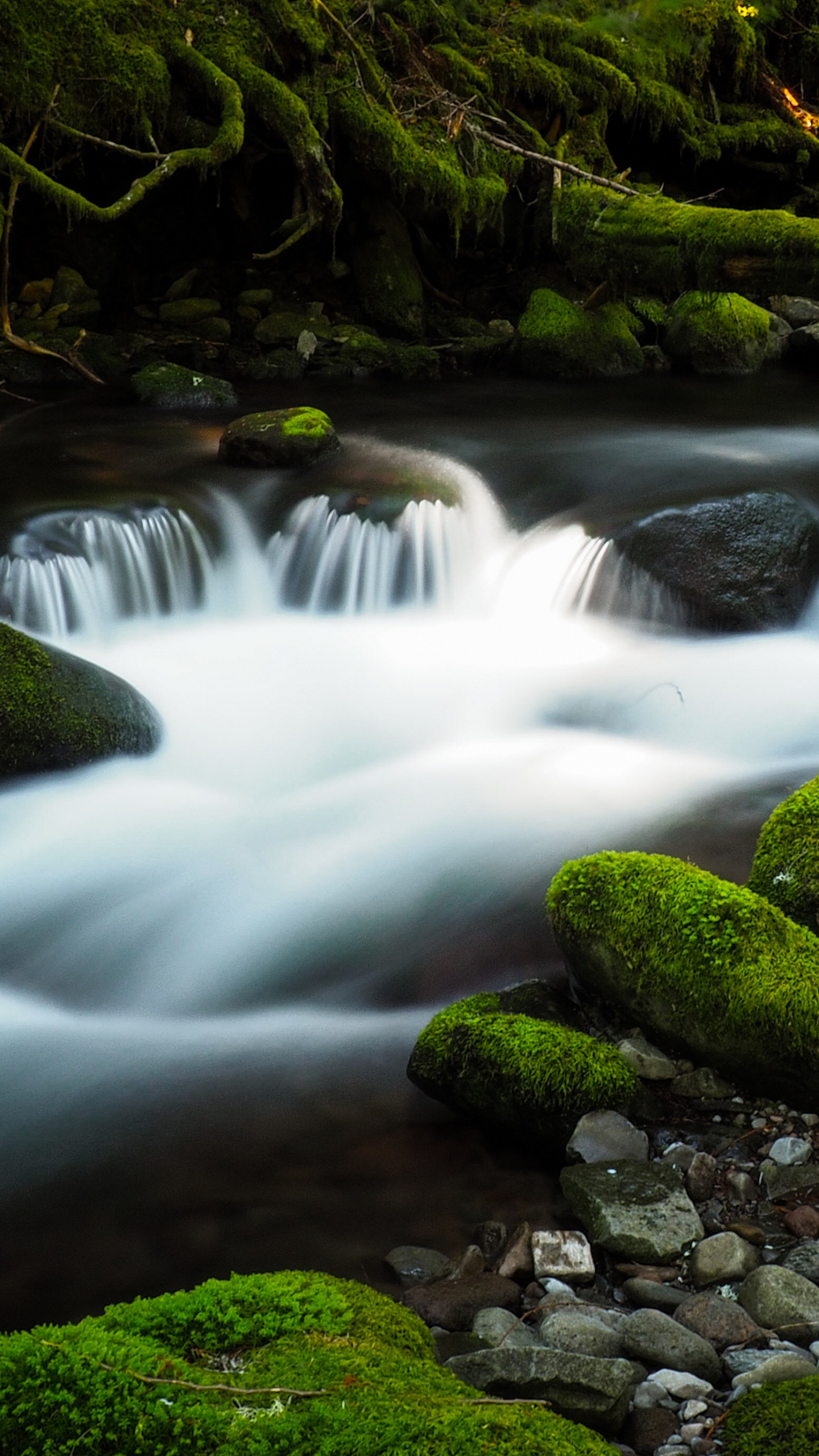 Gory Oblaka, Brook, Water, Water Resources, Plant. Wallpaper in 1440x2560 Resolution