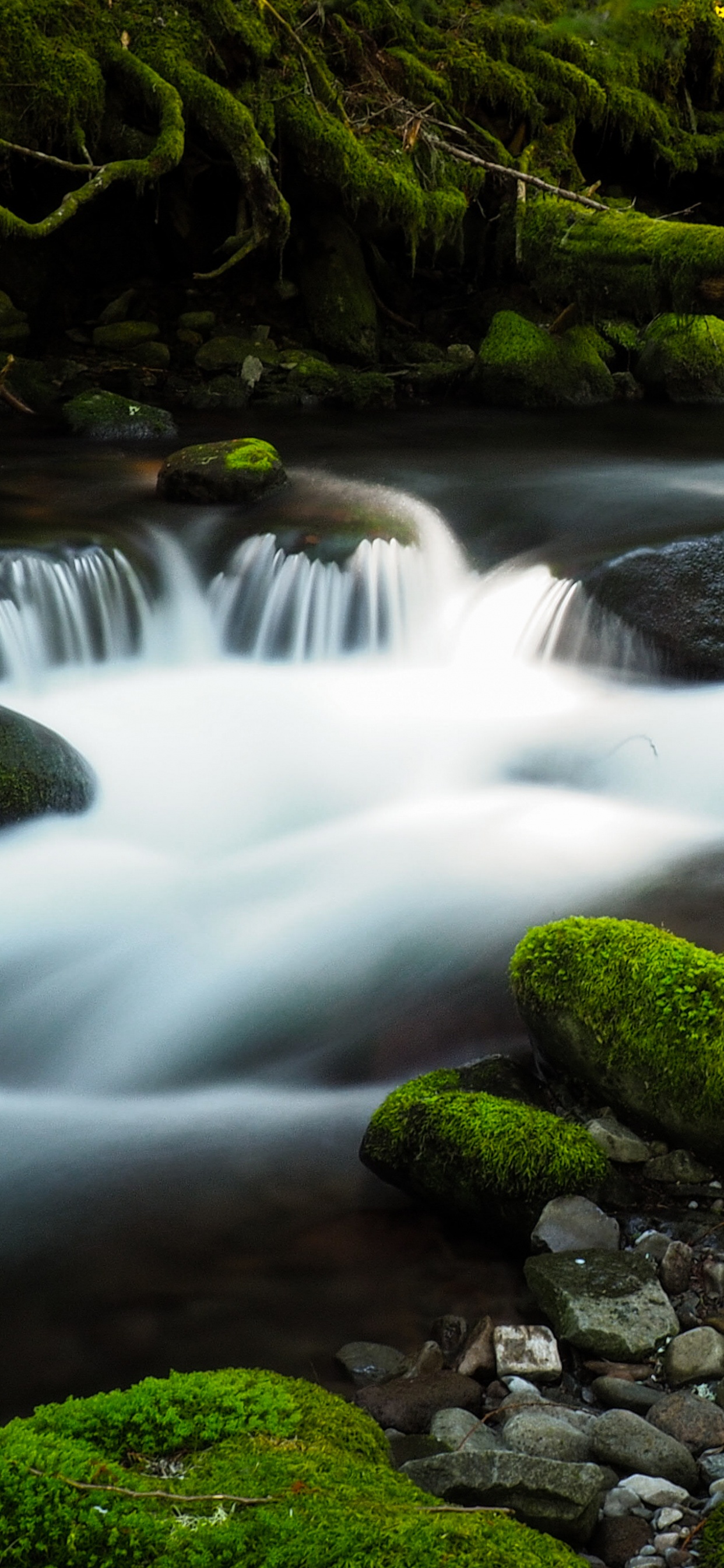 Oblaka Sanglante, Ruisseau, Eau, Les Ressources en Eau, L'écorégion. Wallpaper in 1242x2688 Resolution